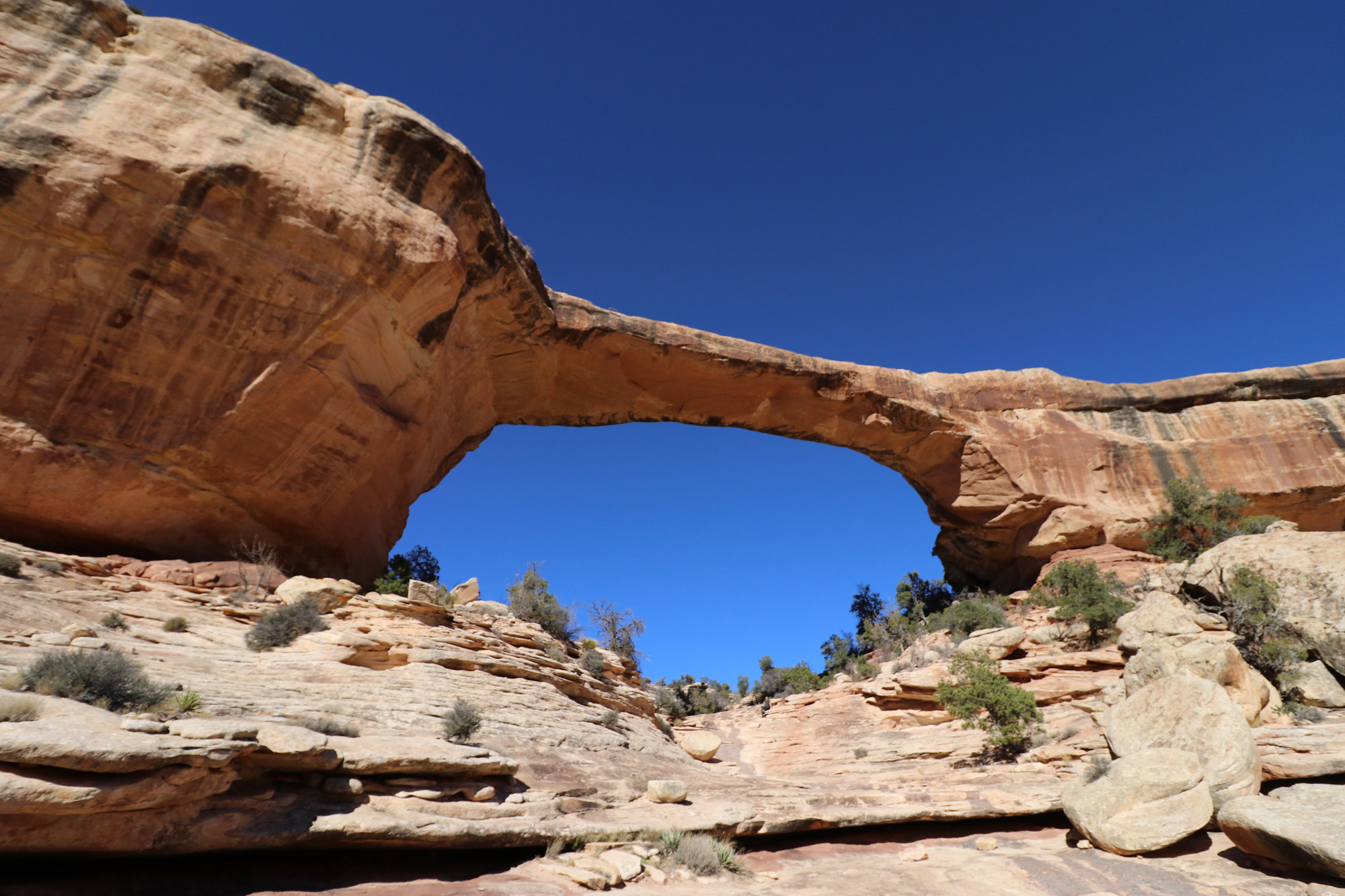 Natural Bridges National Monument in de
