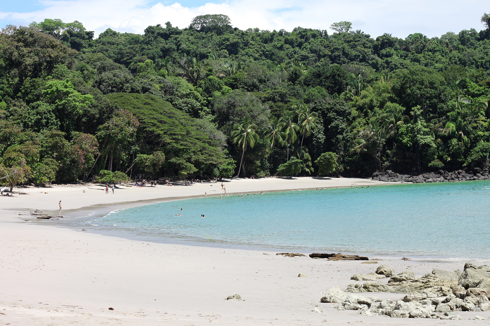 Onze favoriete nationale parken van Costa Rica - Parque Nacional Manuel Antonio