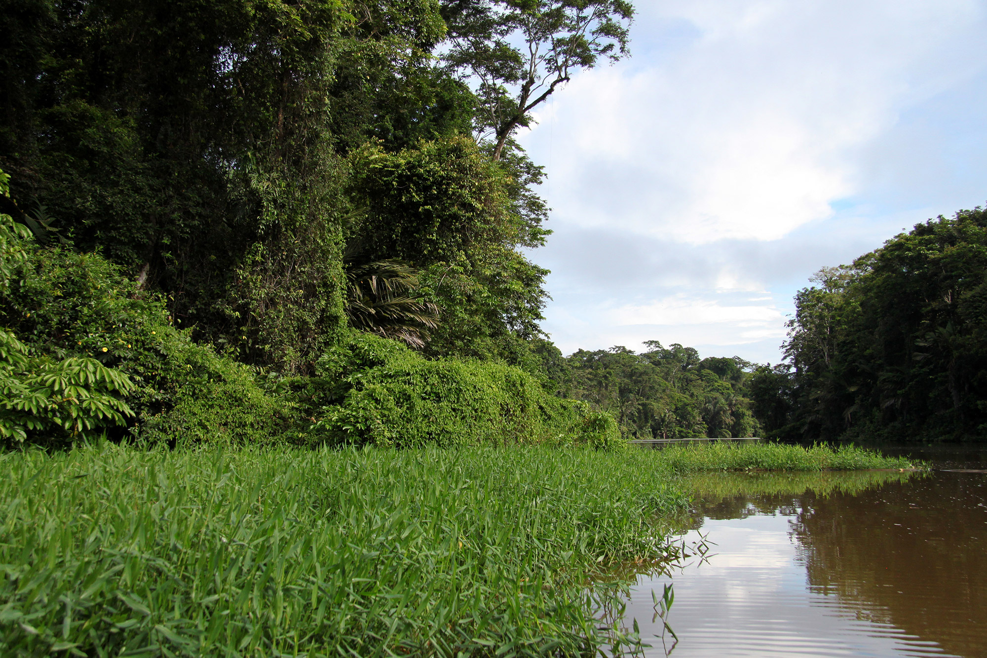 Onze favoriete nationale parken van Costa Rica - Parque Nacional Tortuguero