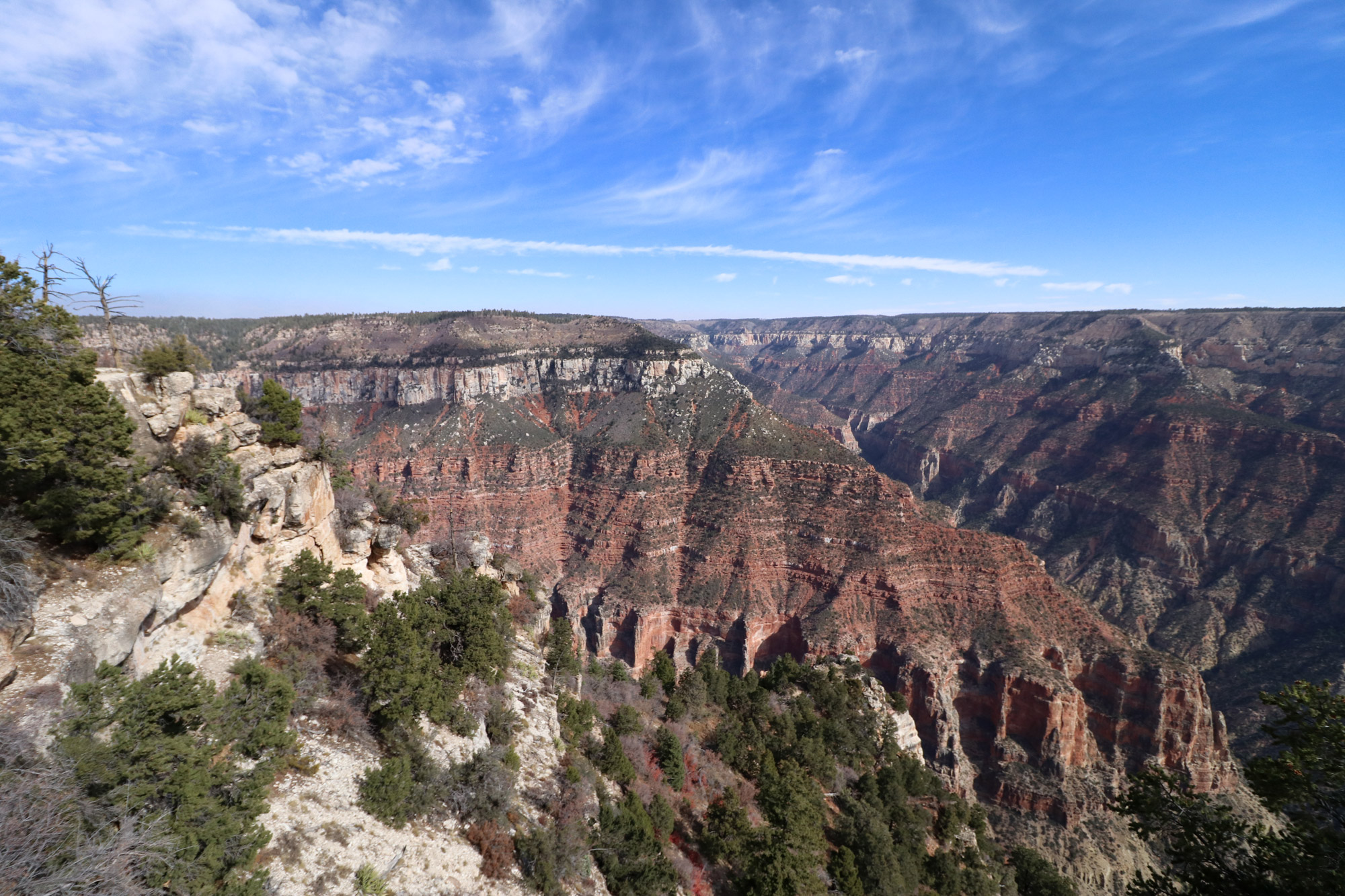 Amerika dag 13 - Grand Canyon National Park - Bright Angel Point