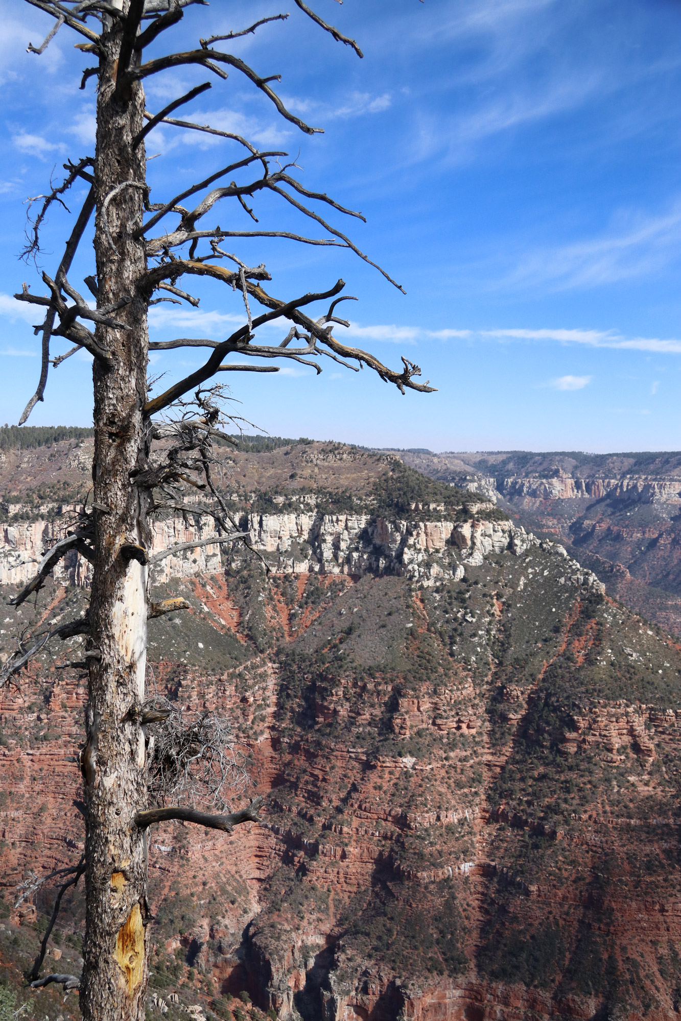 Amerika dag 13 - Grand Canyon National Park - Bright Angel Point