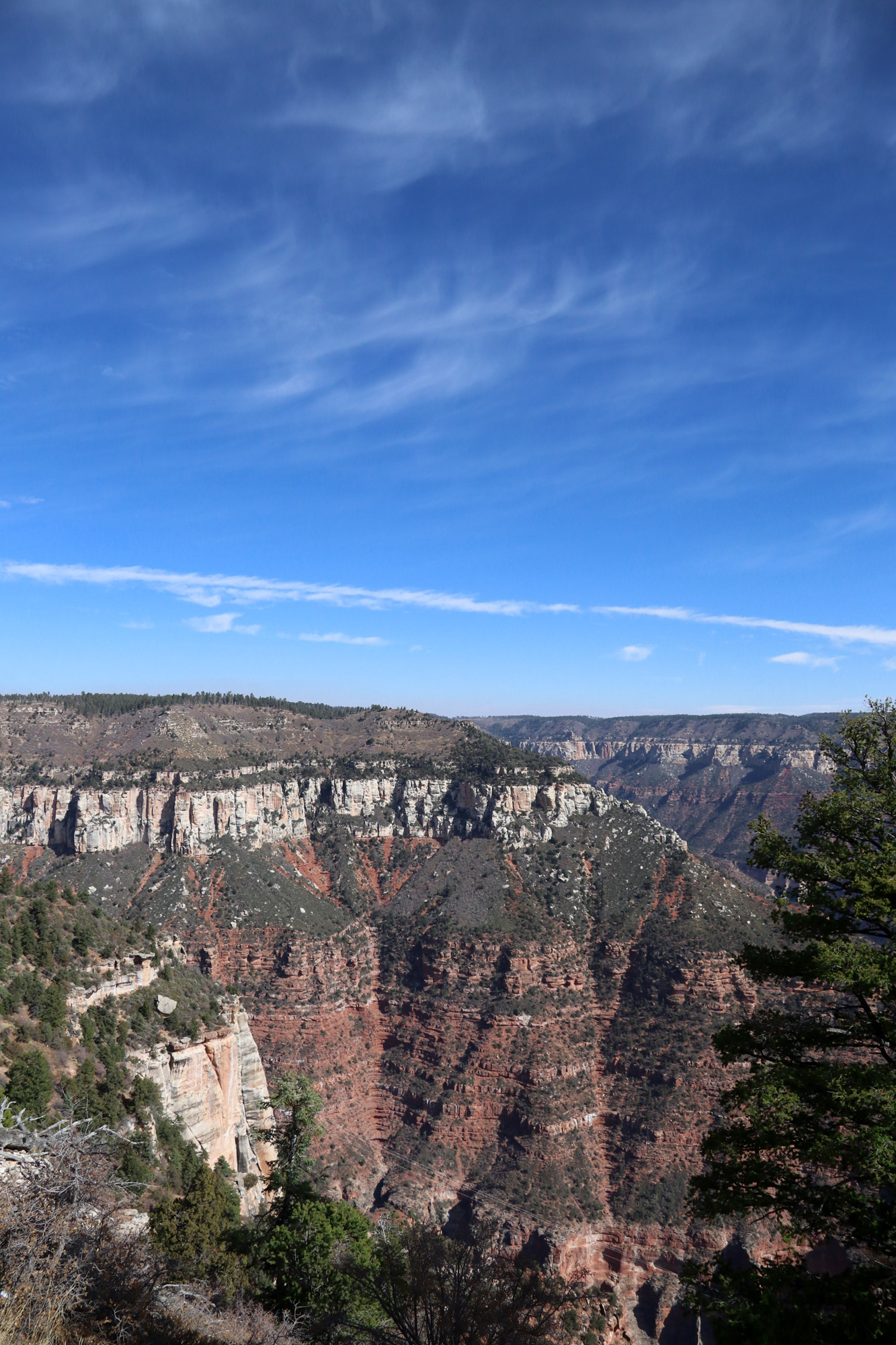 Amerika dag 13 - Grand Canyon National Park - Bright Angel Point