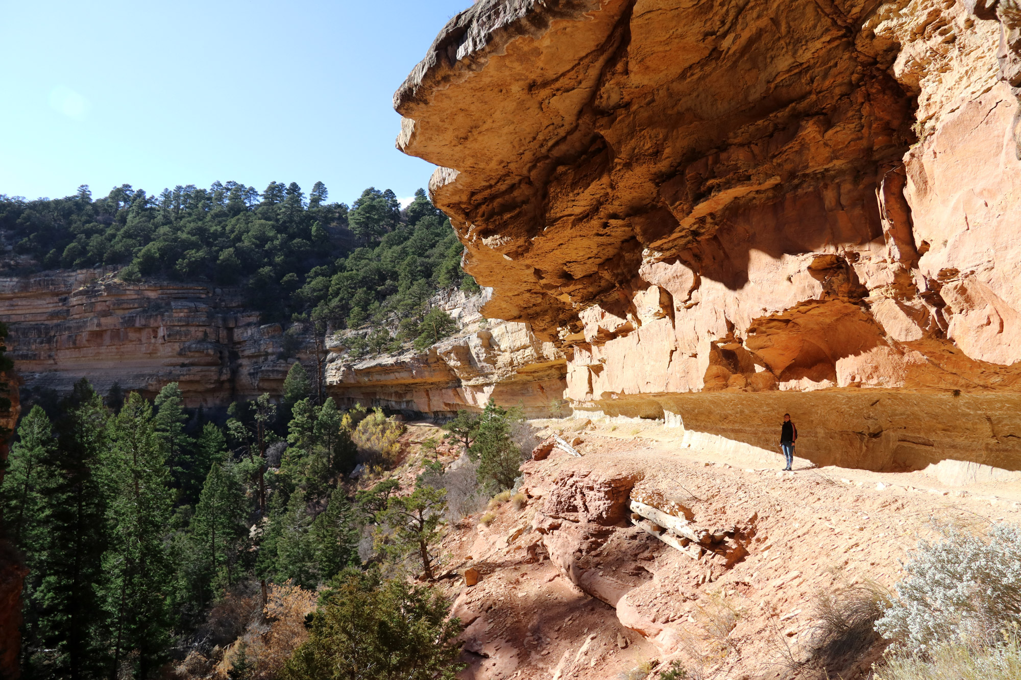 Amerika dag 13 - Grand Canyon National Park - Cliff Spring Trail