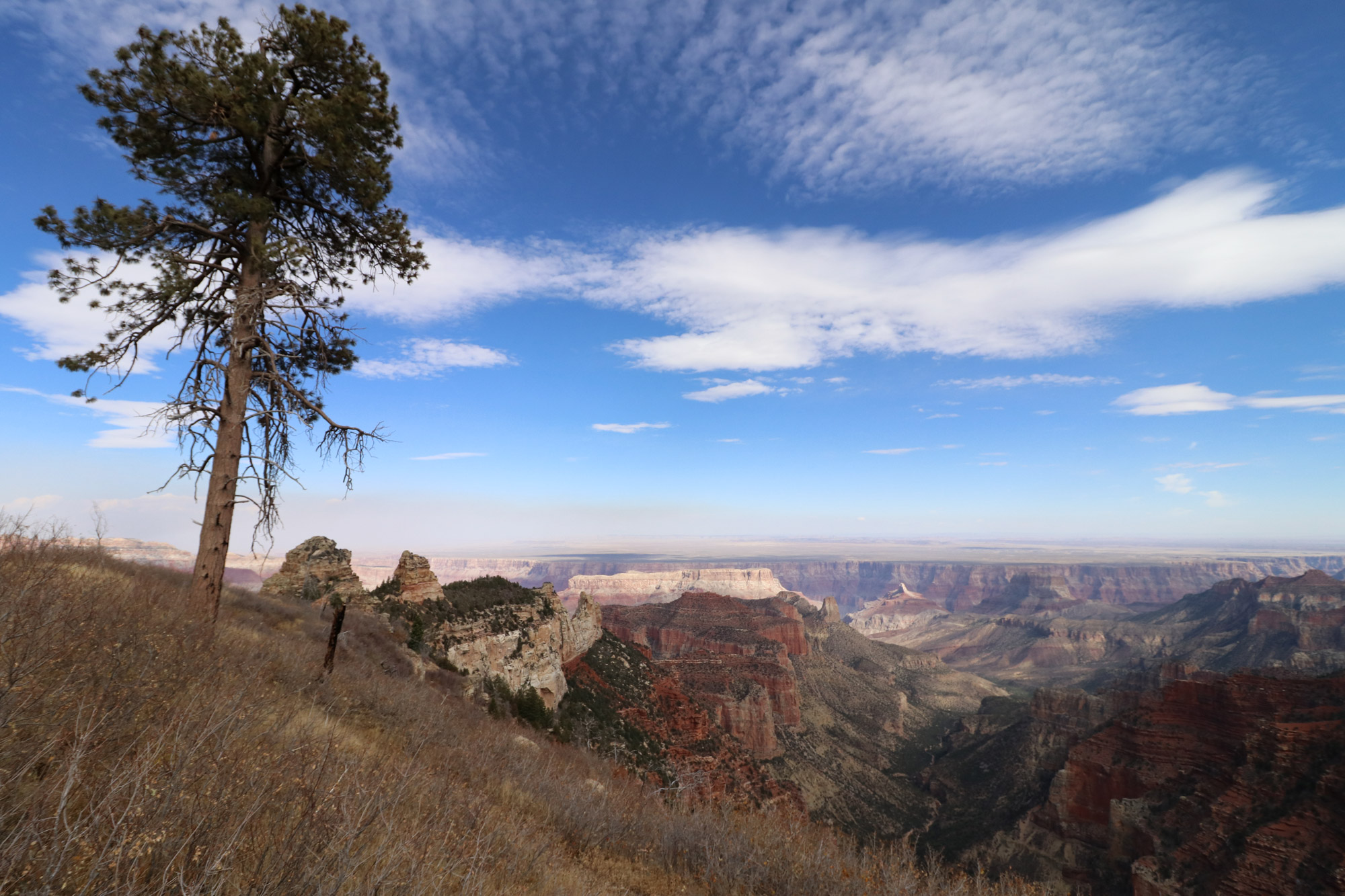 Amerika dag 13 - Grand Canyon National Park - Roosevelt Point