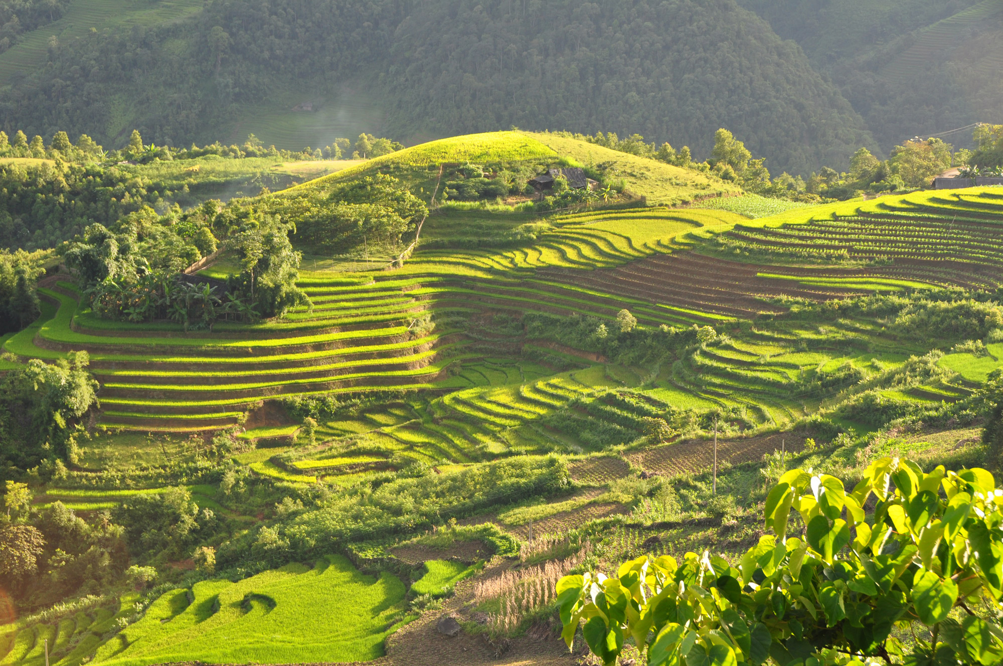 Vietnam – de beste tips voor een leuke en avontuurlijke reis