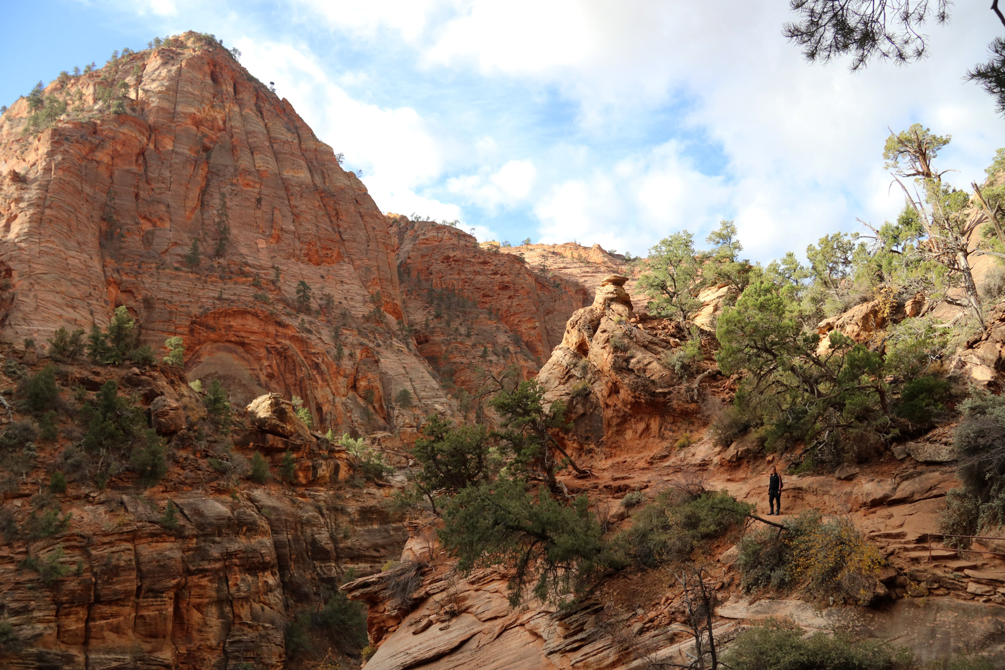 Amerika dag 16 - Zion National Park - Canyon Overlook Trail