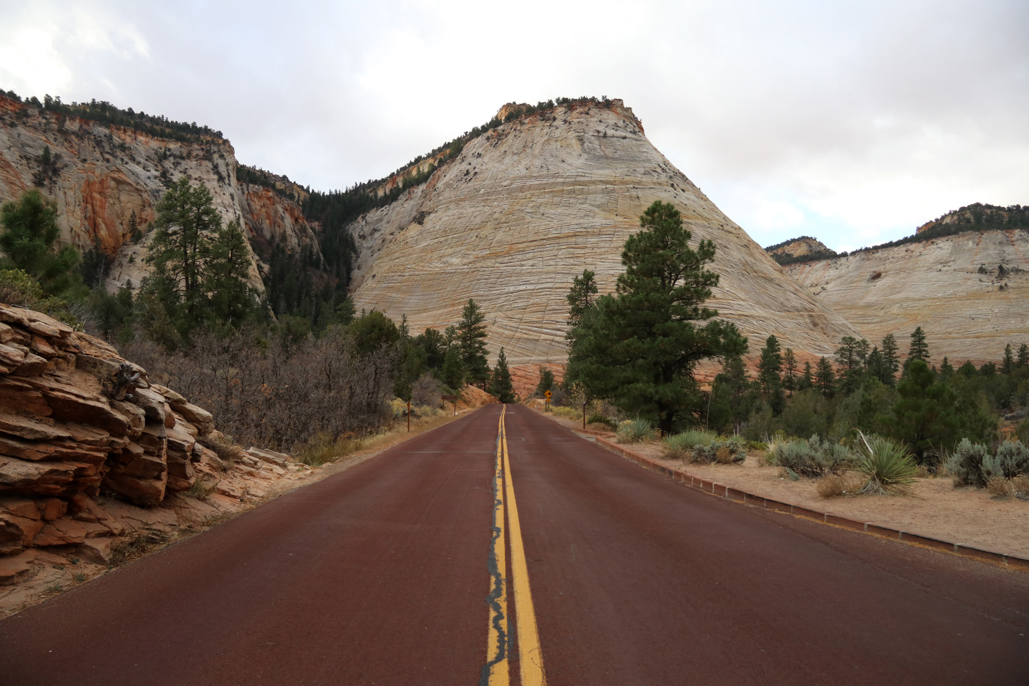 Amerika dag 16 - Zion National Park - Checkerboard Mesa