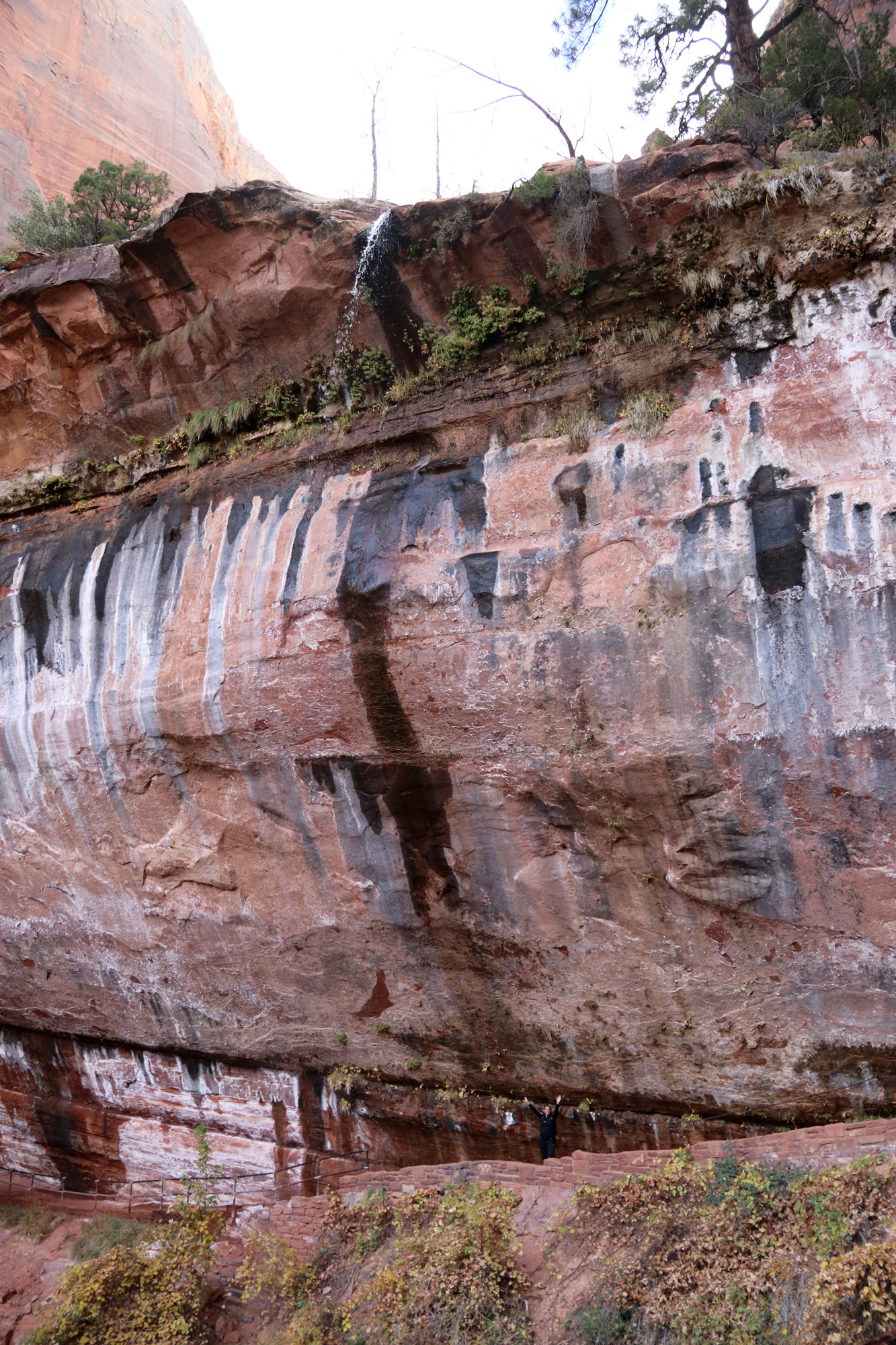 Amerika dag 16 - Zion National Park - Lower Emerald Pools