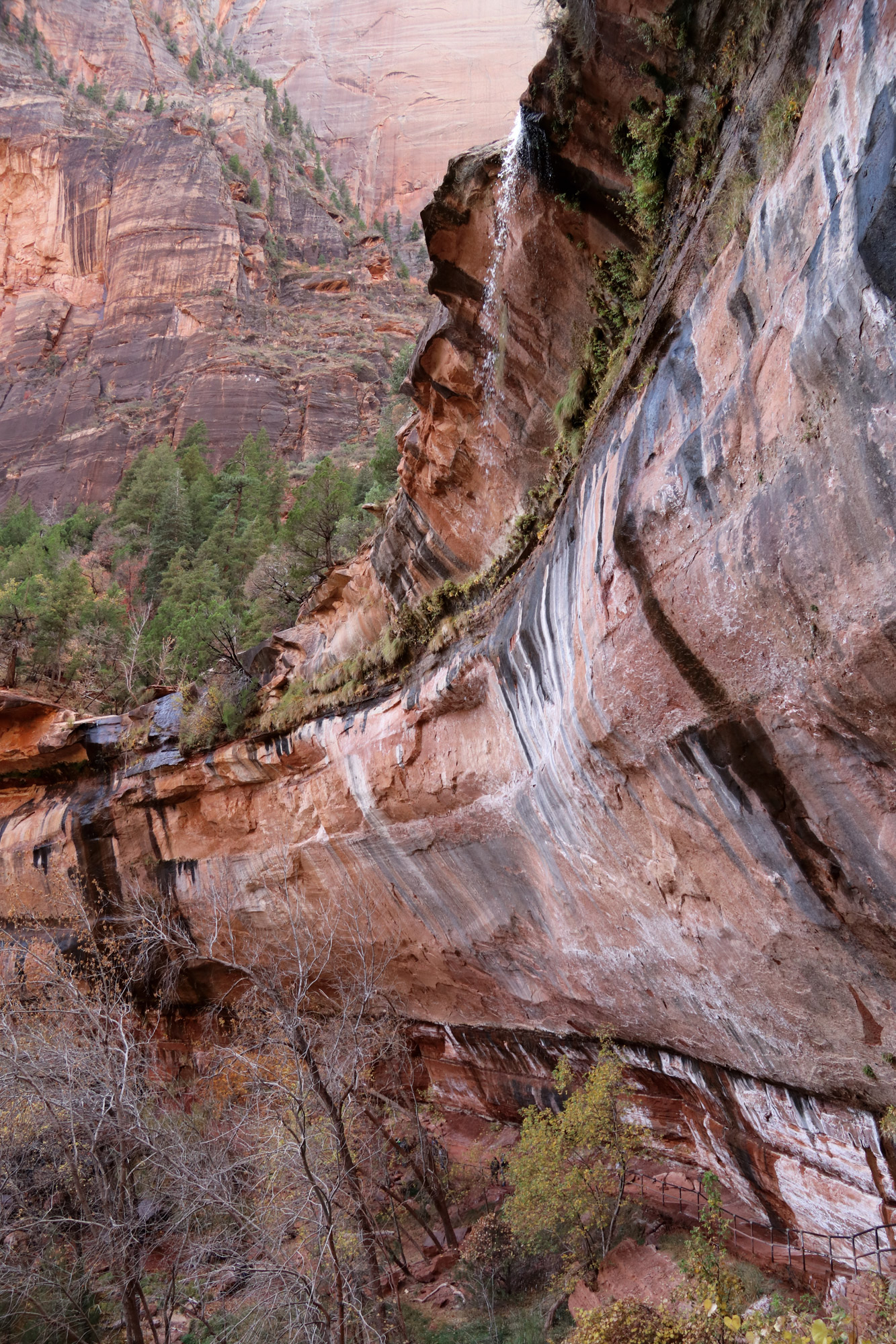 Amerika dag 16 - Zion National Park - Lower Emerald Pools