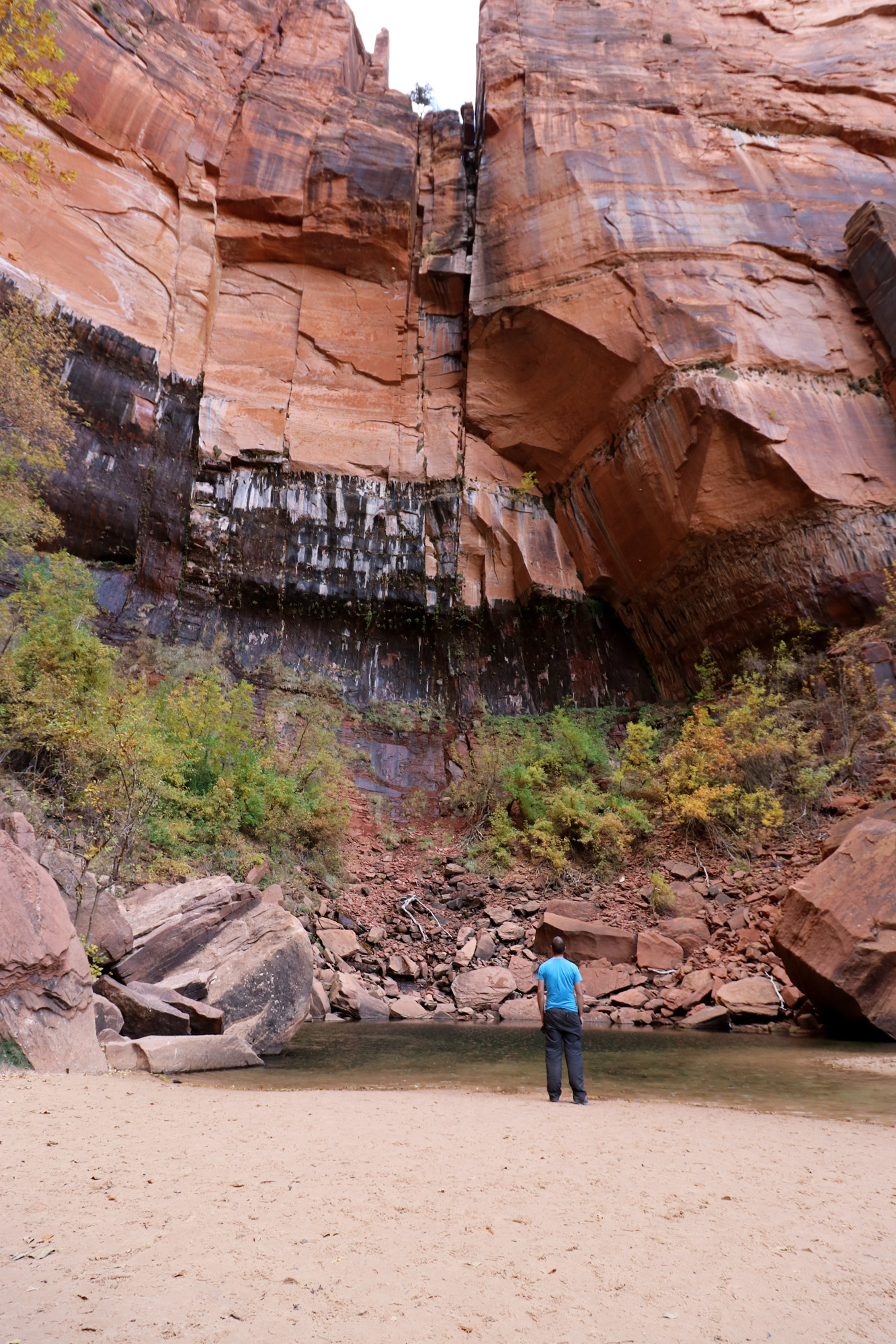 Amerika dag 16 - Zion National Park - Upper Emerald Pools