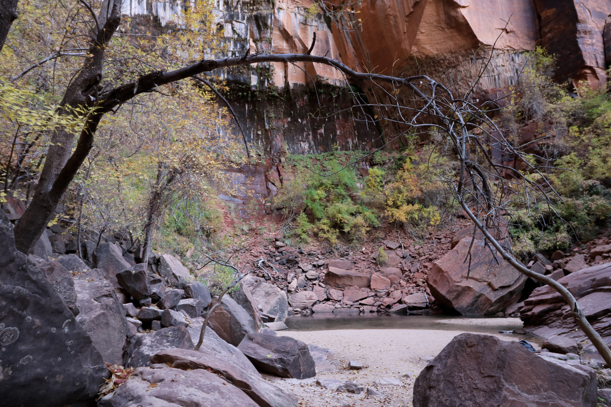 Amerika dag 16 - Zion National Park - Upper Emerald Pools