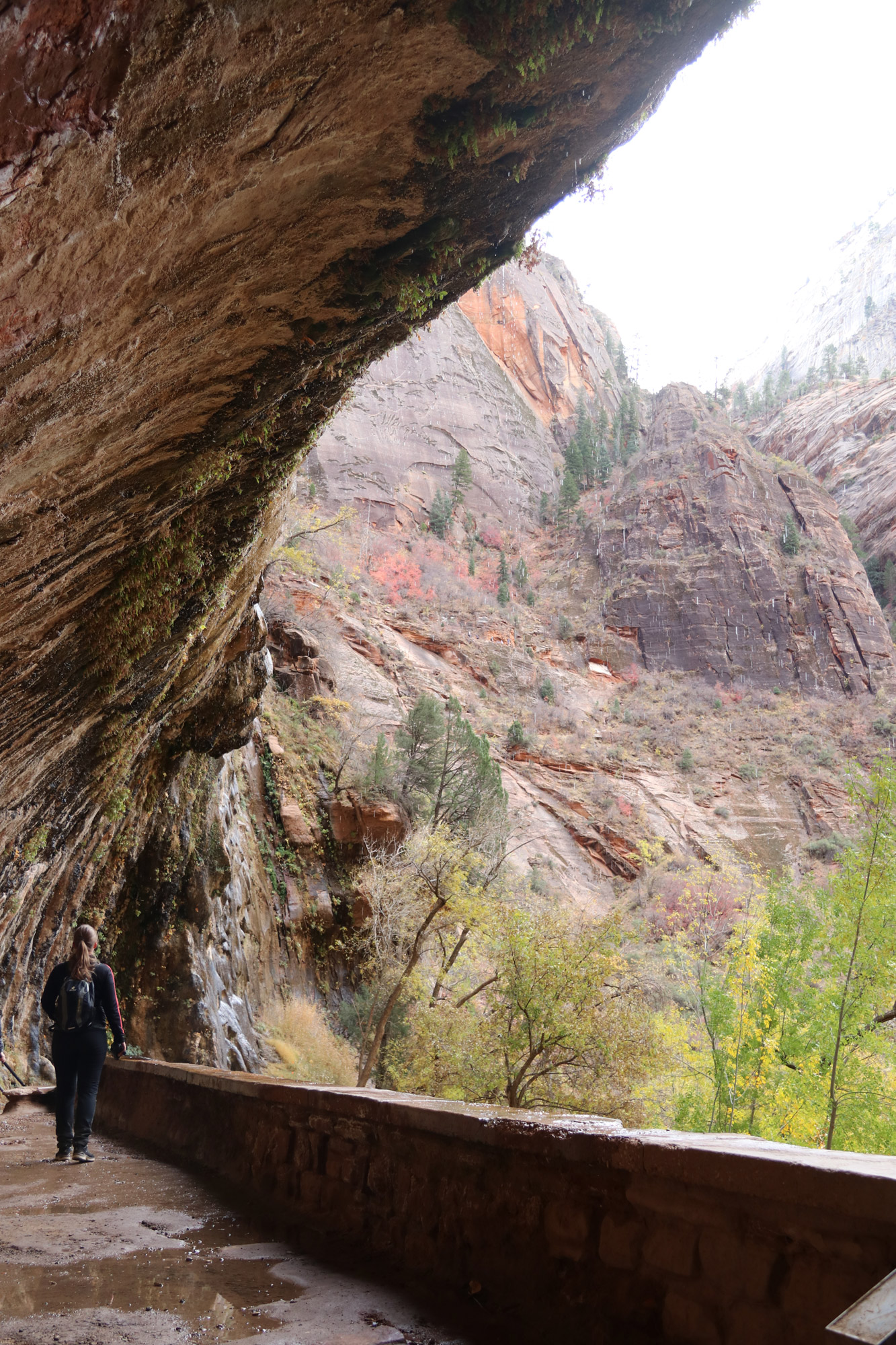 Amerika dag 16 - Zion National Park - Weeping Rock