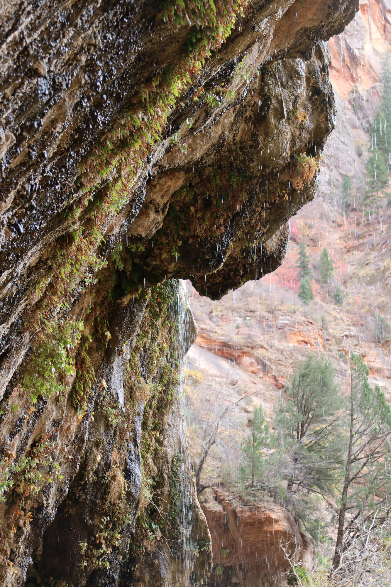 Amerika dag 16 - Zion National Park - Weeping Rock