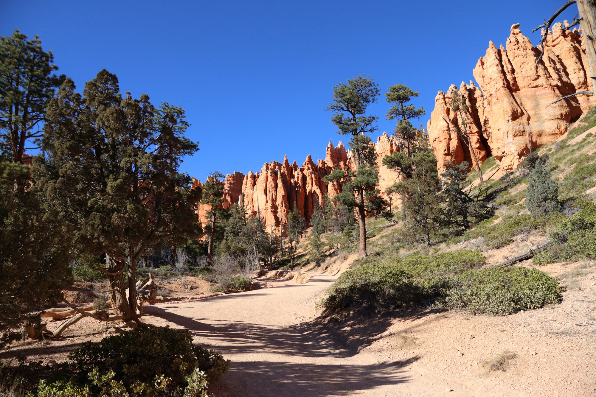 Amerika dag 14 - Bryce Canyon National Park - Navajo Loop Trail