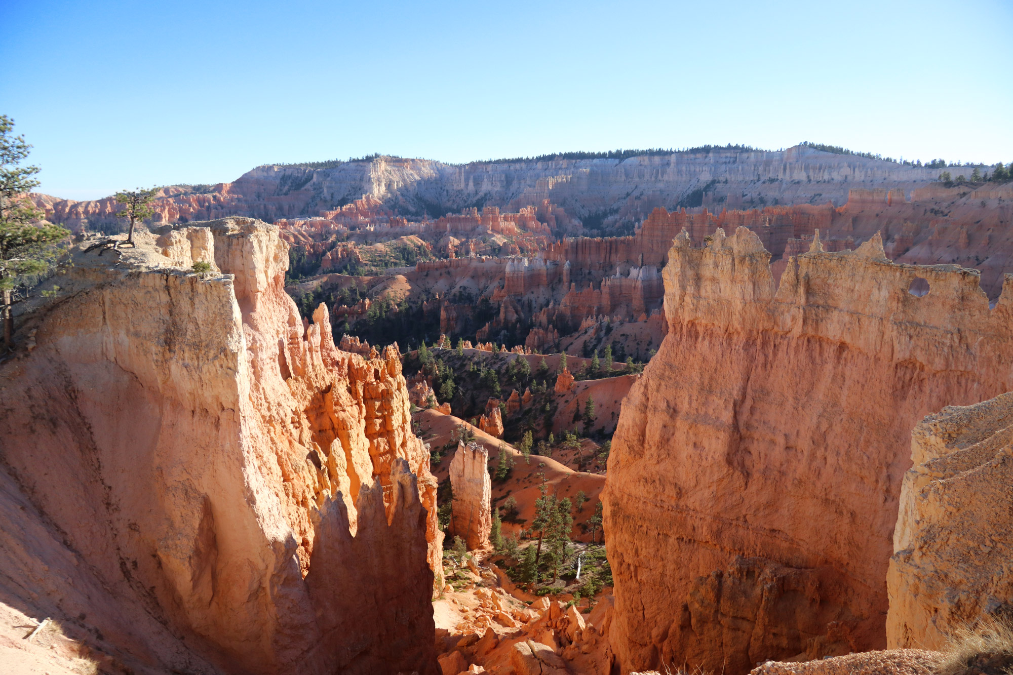 Amerika dag 14 - Bryce Canyon National Park - Queens Garden Trail