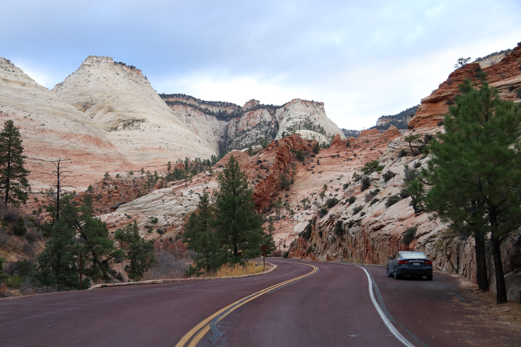 Amerika dag 15 - Zion National Park