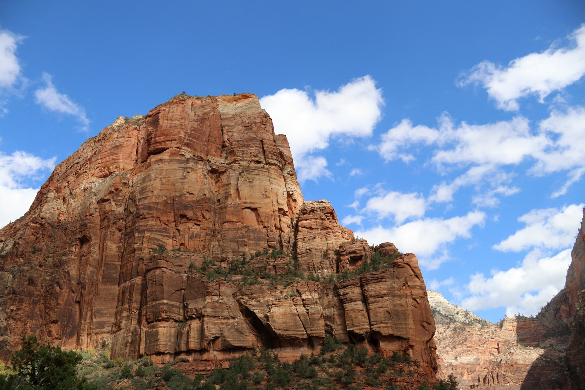 Amerika dag 15 - Zion National Park - Angels Landing Trail