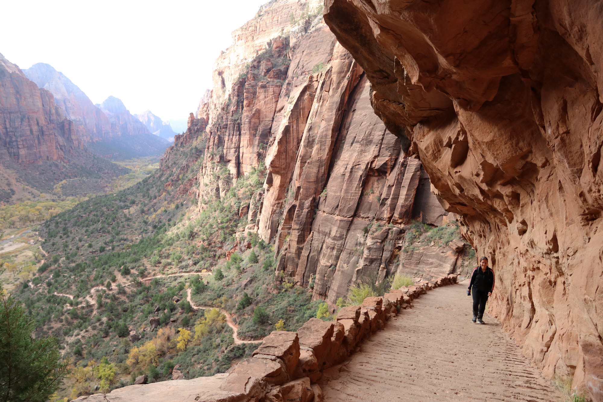 Amerika dag 15 - Zion National Park - Angels Landing Trail