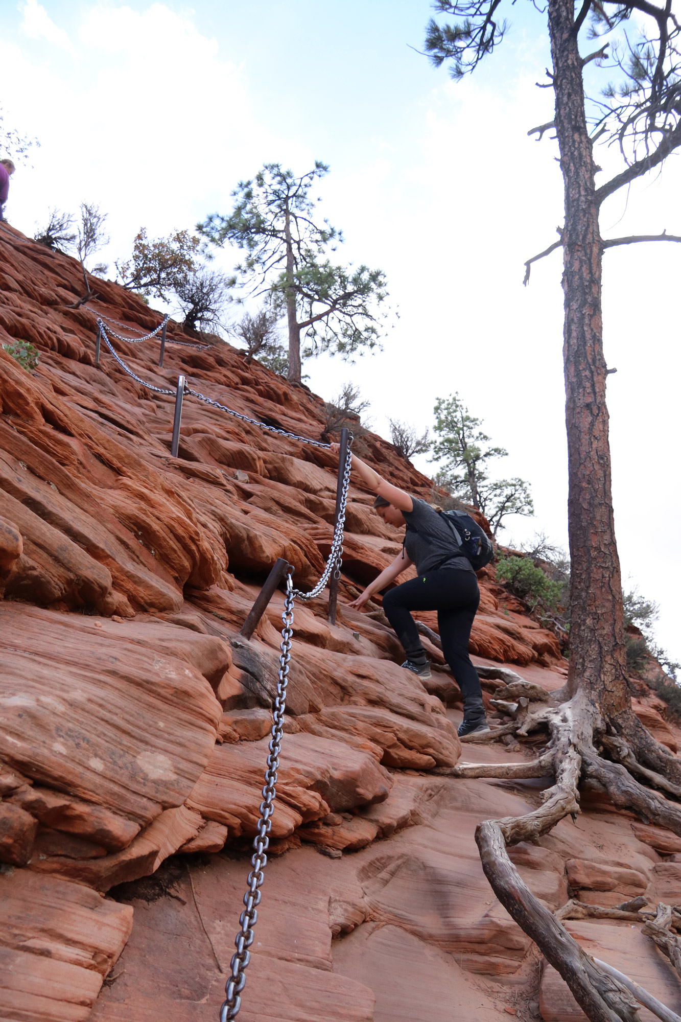 Amerika dag 15 - Zion National Park - Angels Landing Trail