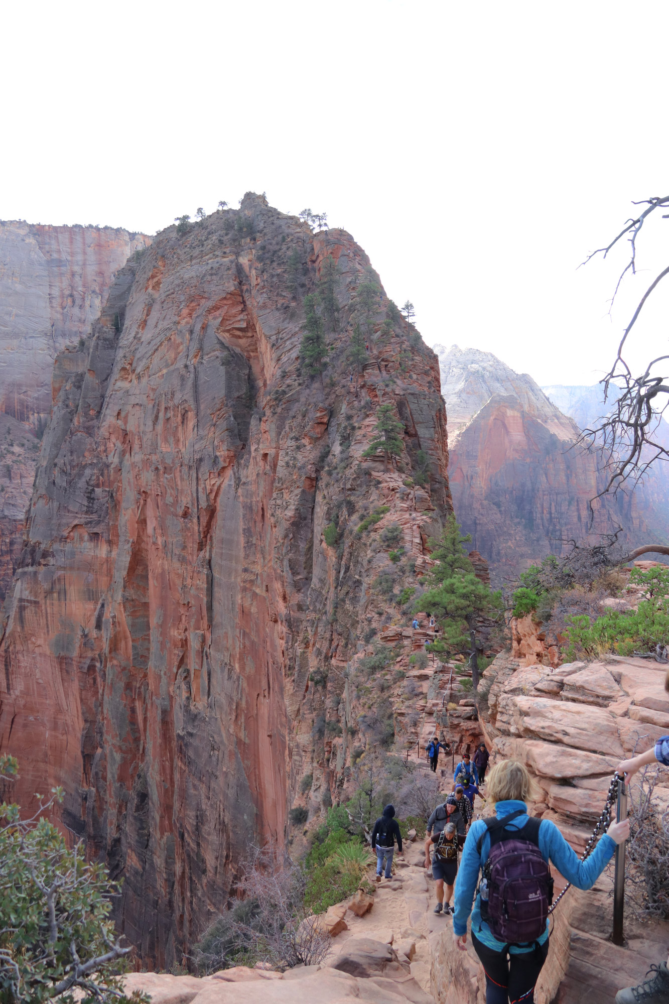 Amerika dag 15 - Zion National Park - Angels Landing Trail