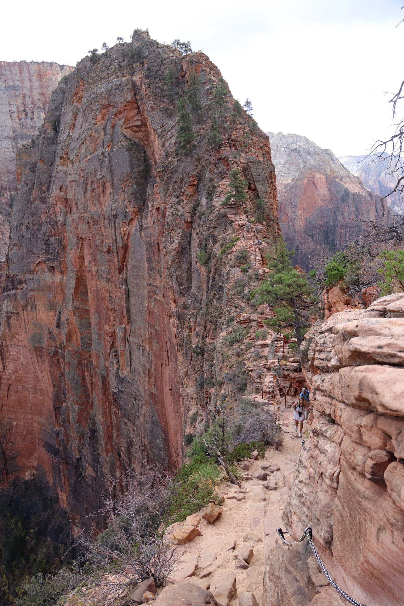 Amerika dag 15 - Zion National Park - Angels Landing Trail