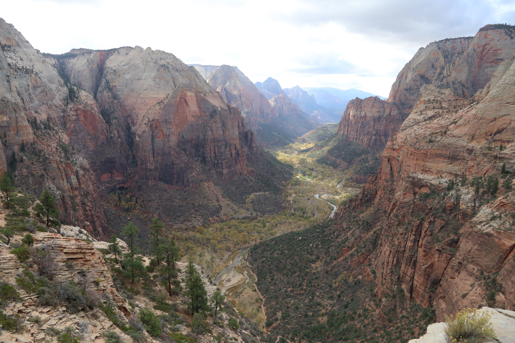 Amerika dag 15 - Zion National Park - Angels Landing Trail