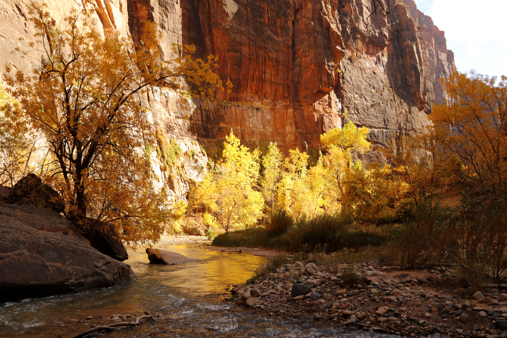 Amerika dag 15 - Zion National Park - Riverside Walk