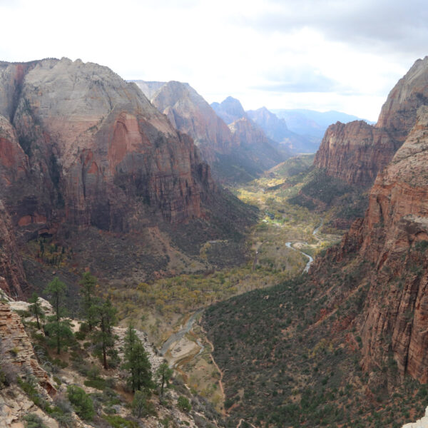 Zion National Park - Utah - Verenigde Staten