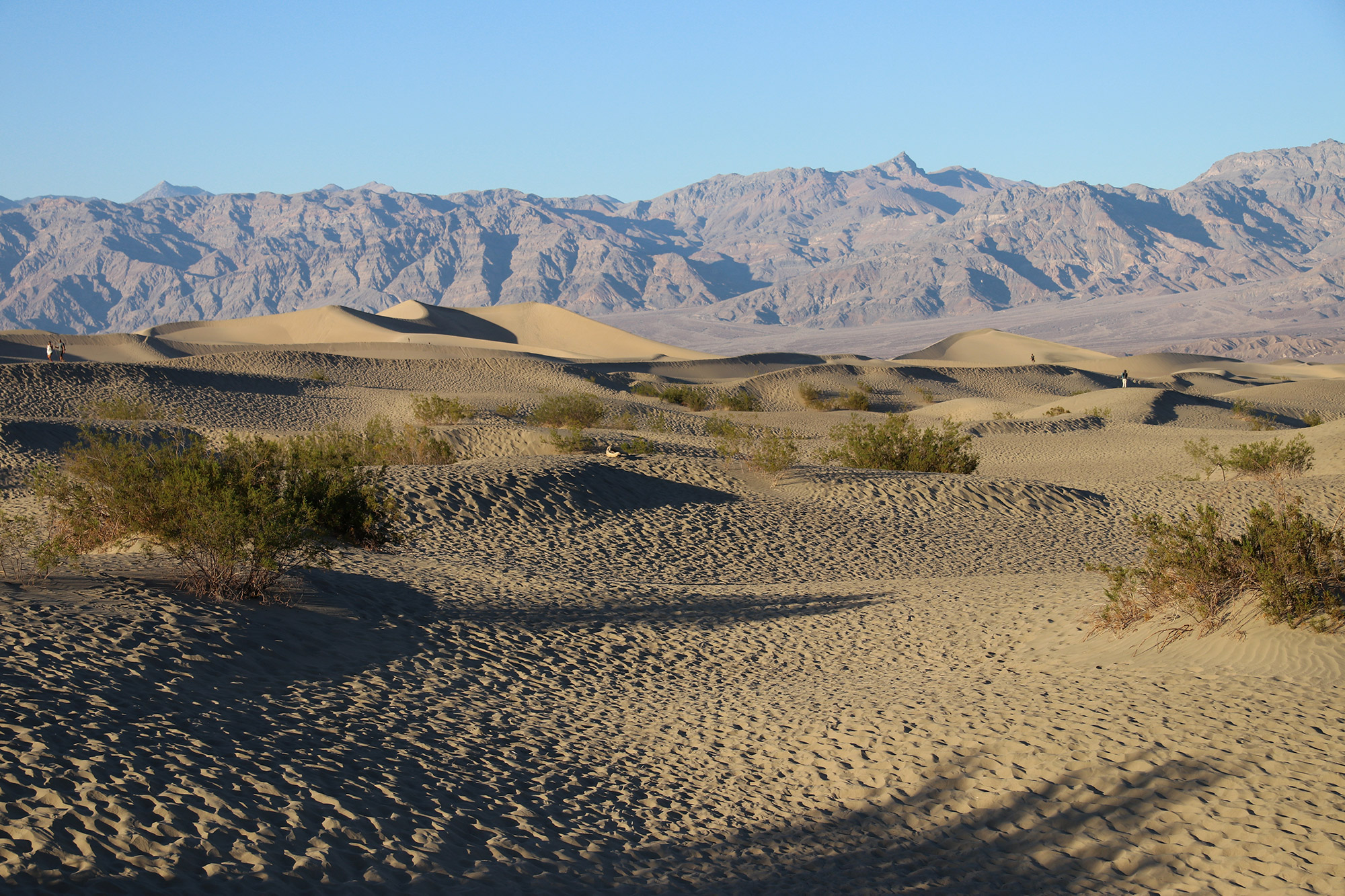 Amerika dag 18 - Death Valley National Park - Mesquite Flat Sand Dunes