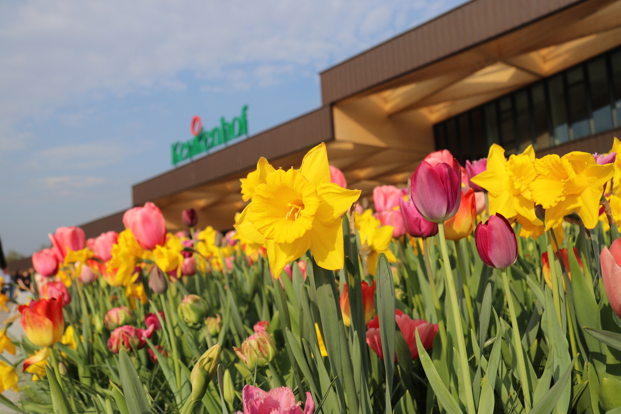 Fotoreeks: Toerist in eigen land bij Keukenhof