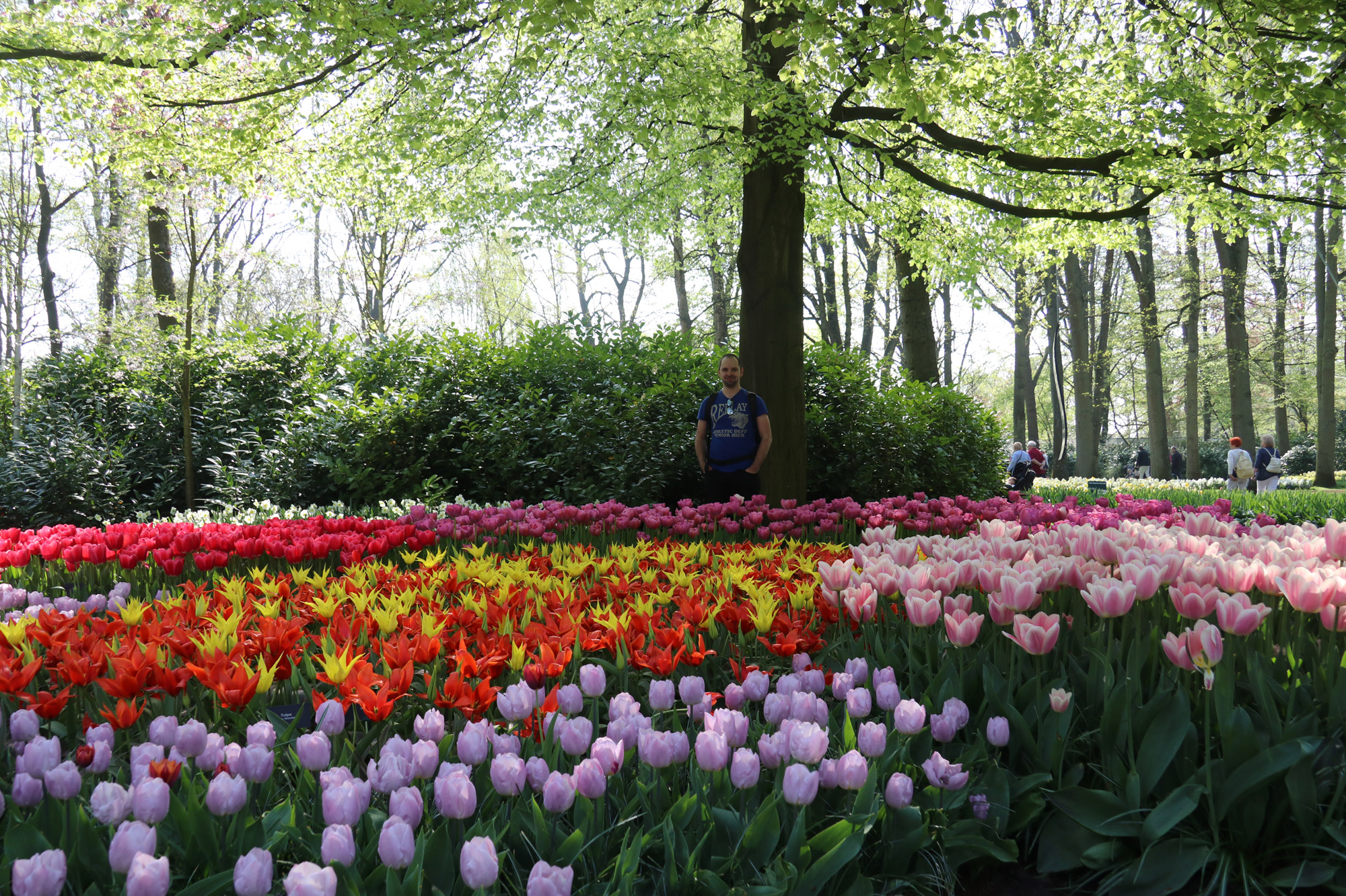 Fotoreeks: Toerist in eigen land bij Keukenhof