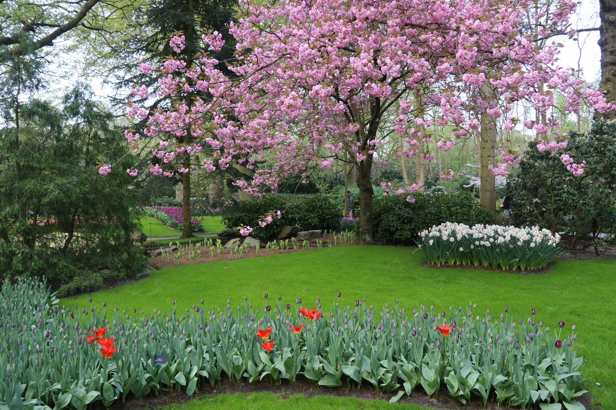 Fotoreeks: Toerist in eigen land bij Keukenhof