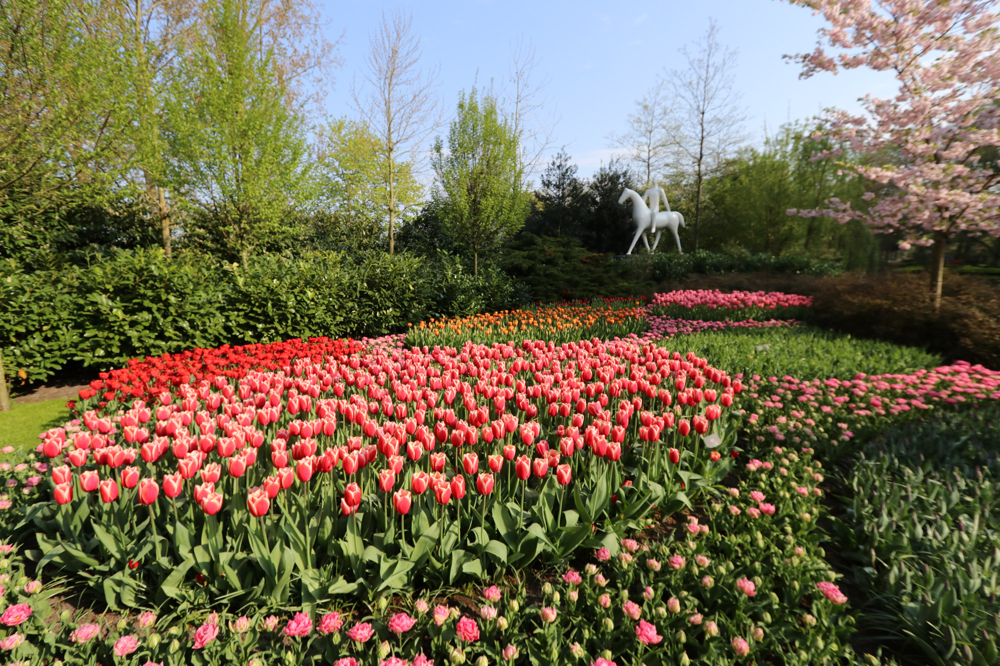 Fotoreeks: Toerist in eigen land bij Keukenhof