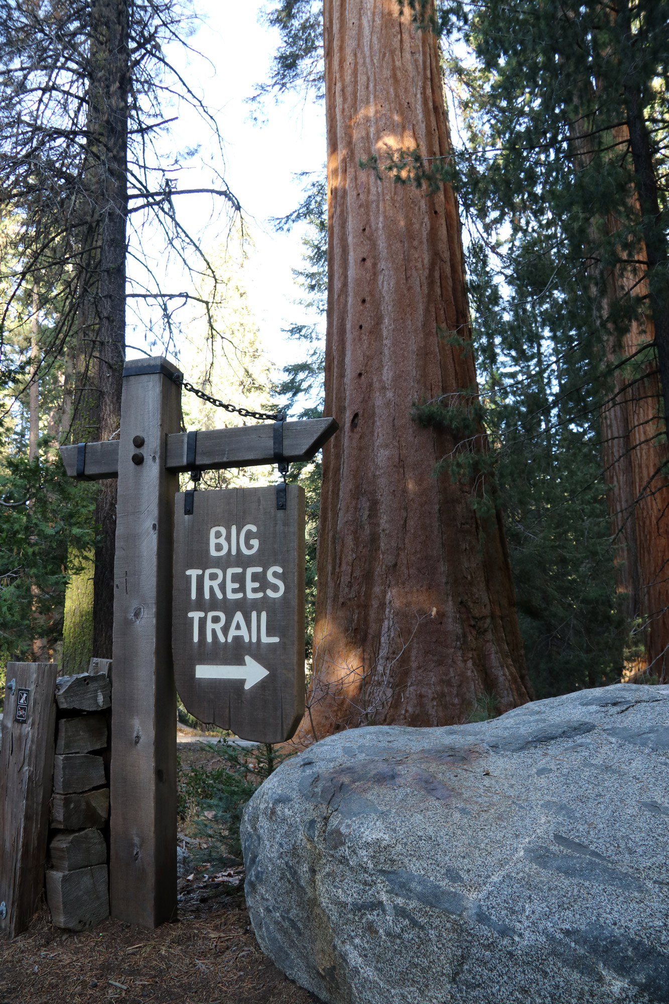 Amerika dag 19 - Sequoia National Park