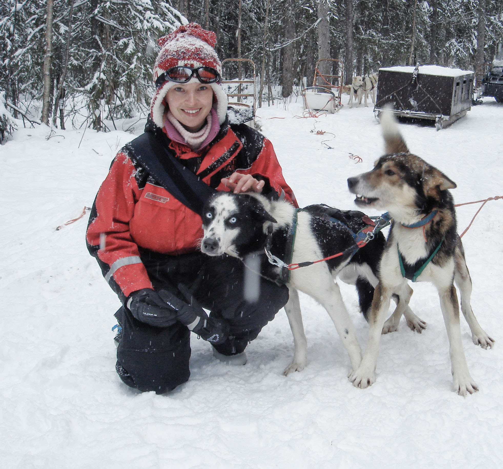 Noreen - Fins Lapland