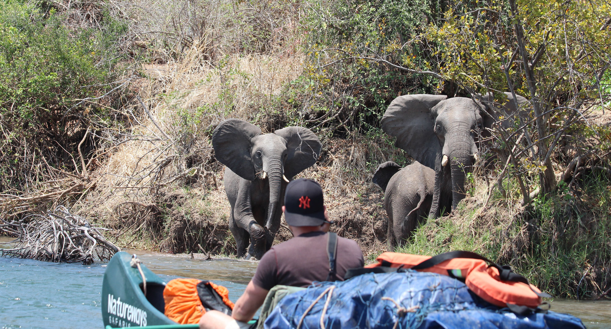 Noreen - Zimbabwe - Zambezi River