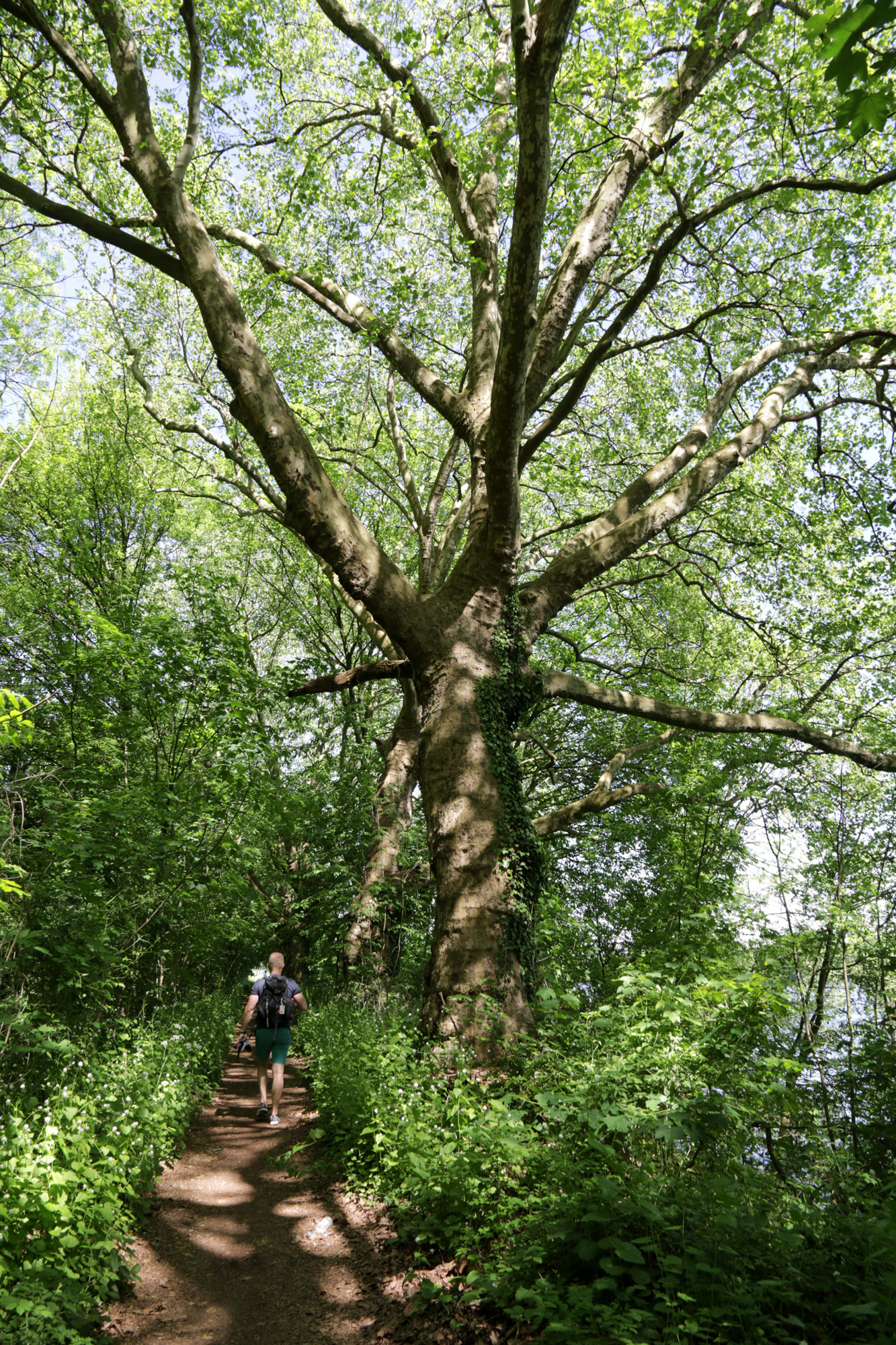 Wandelen bij de Sint-Pietersberg