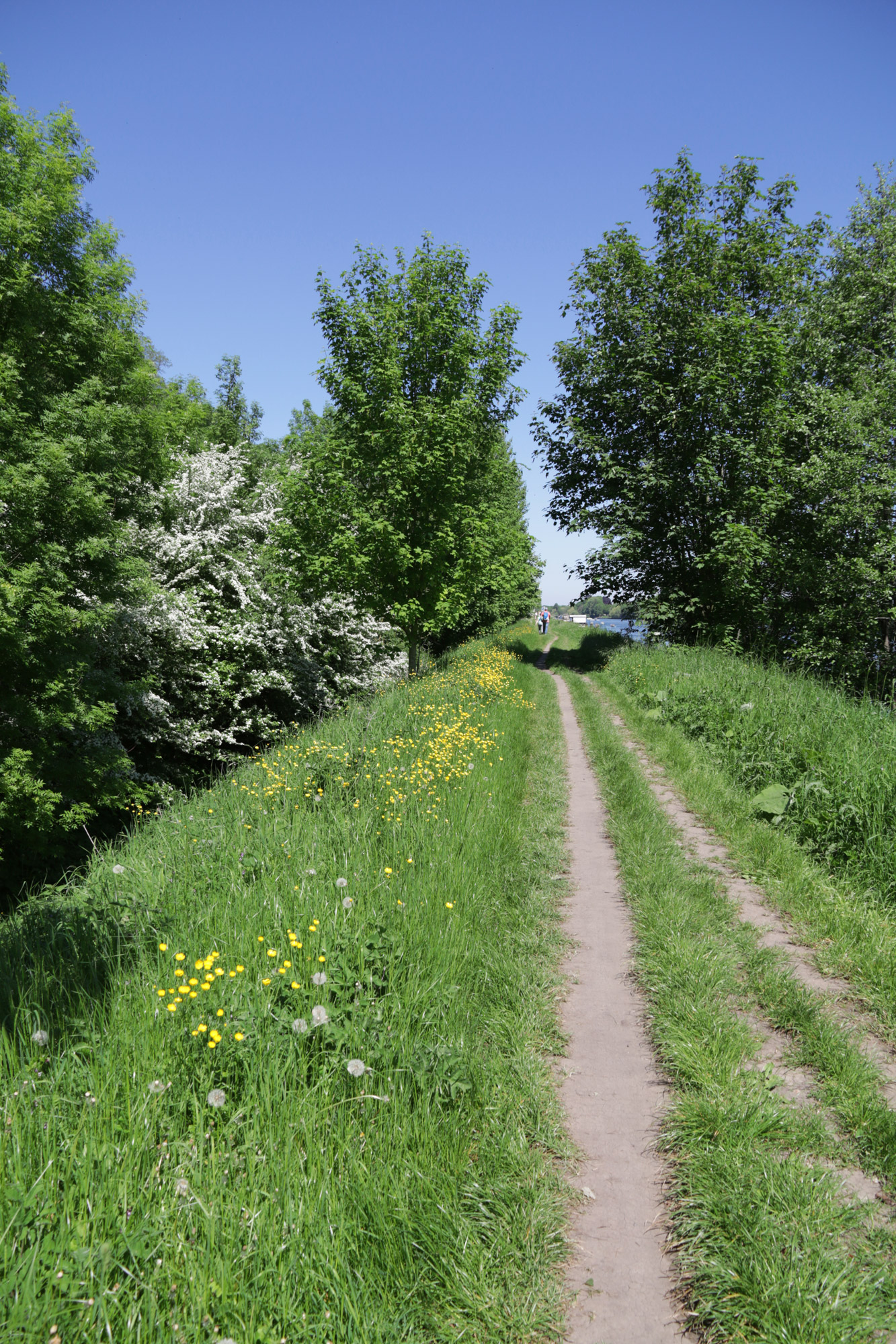 Wandelen bij de Sint-Pietersberg