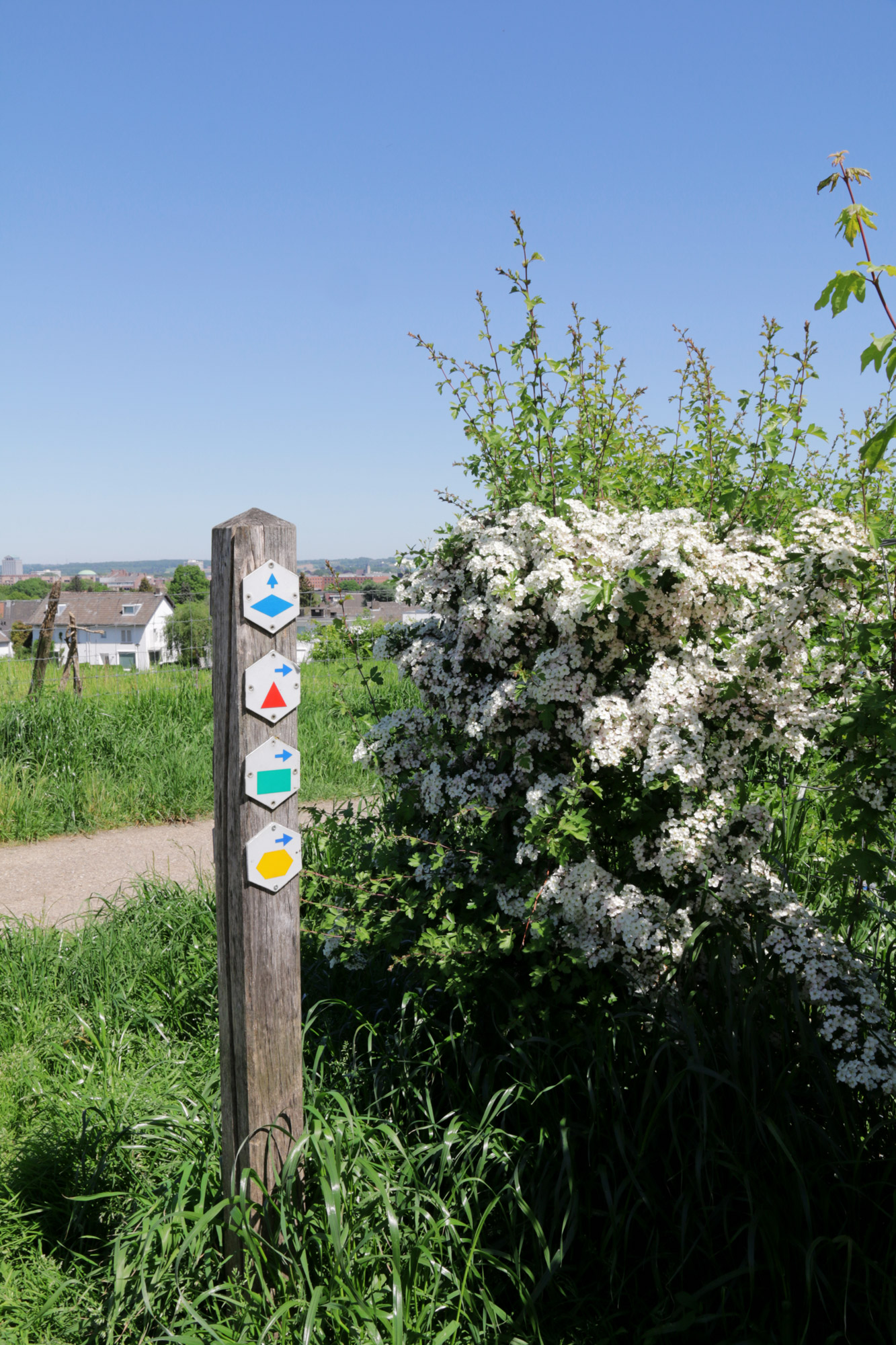 Wandelen bij de Sint-Pietersberg