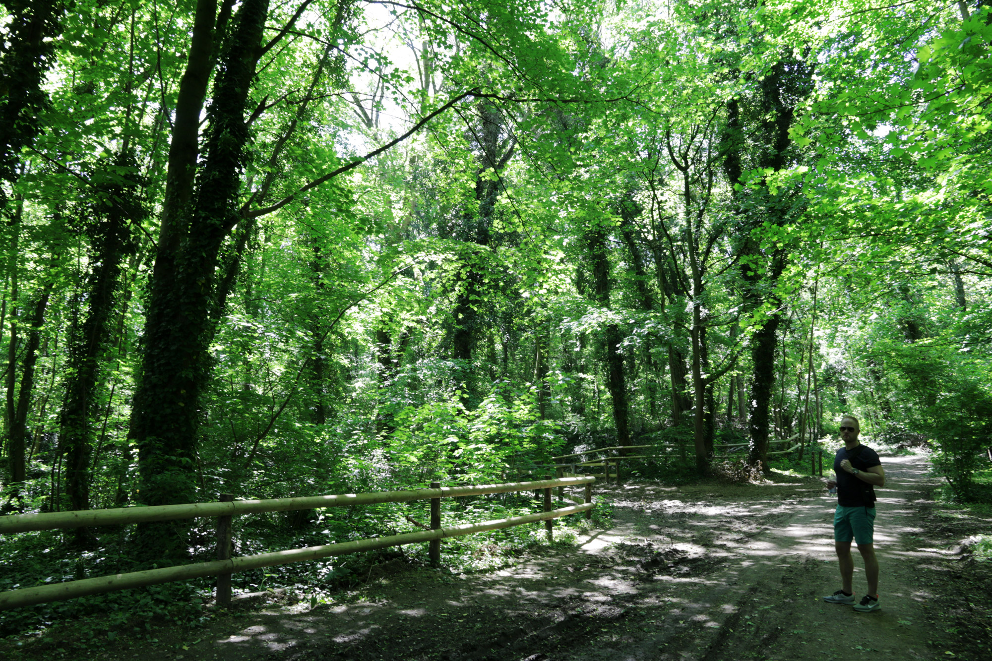 Wandelen bij de Sint-Pietersberg