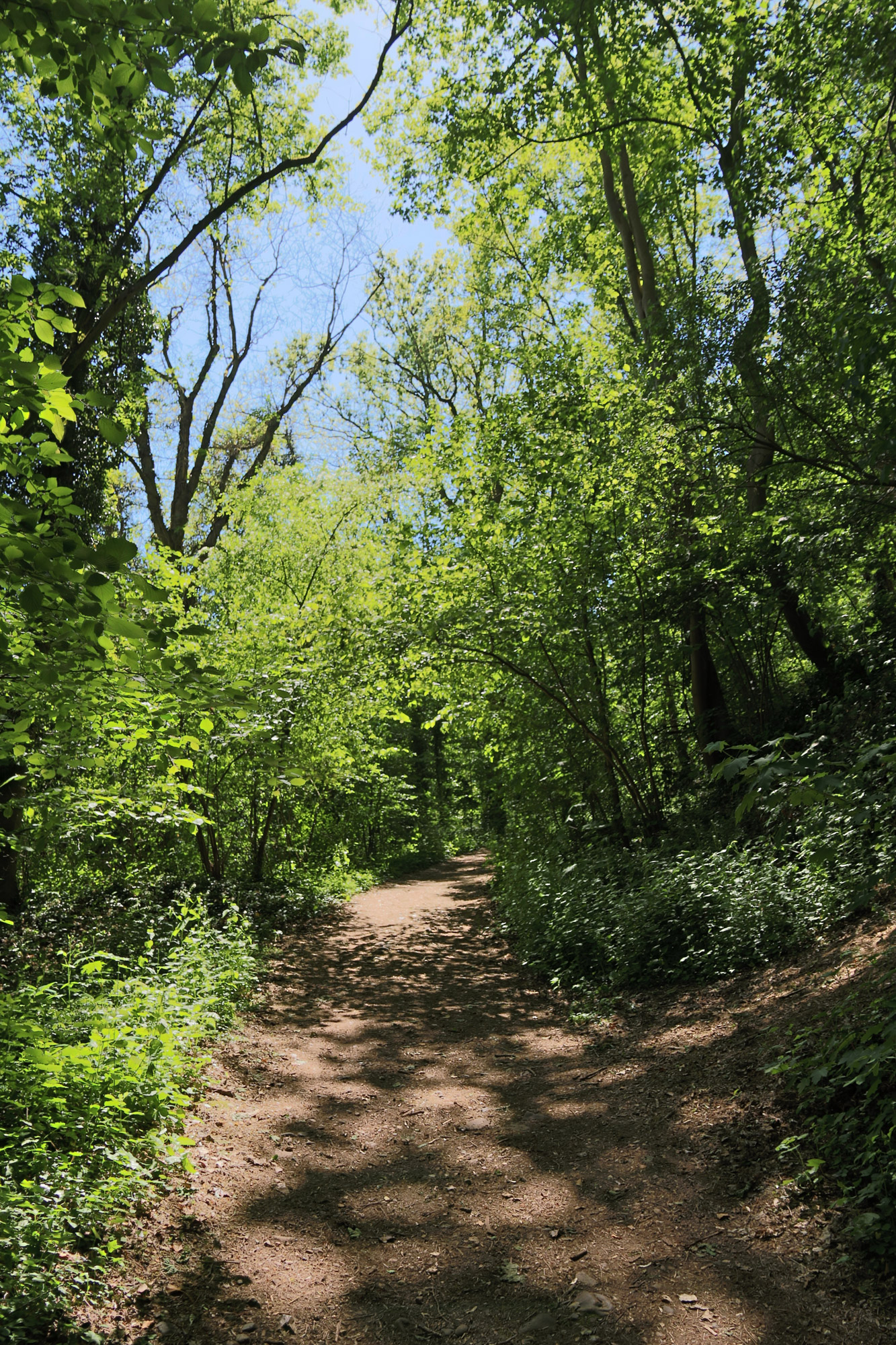 Wandelen bij de Sint-Pietersberg