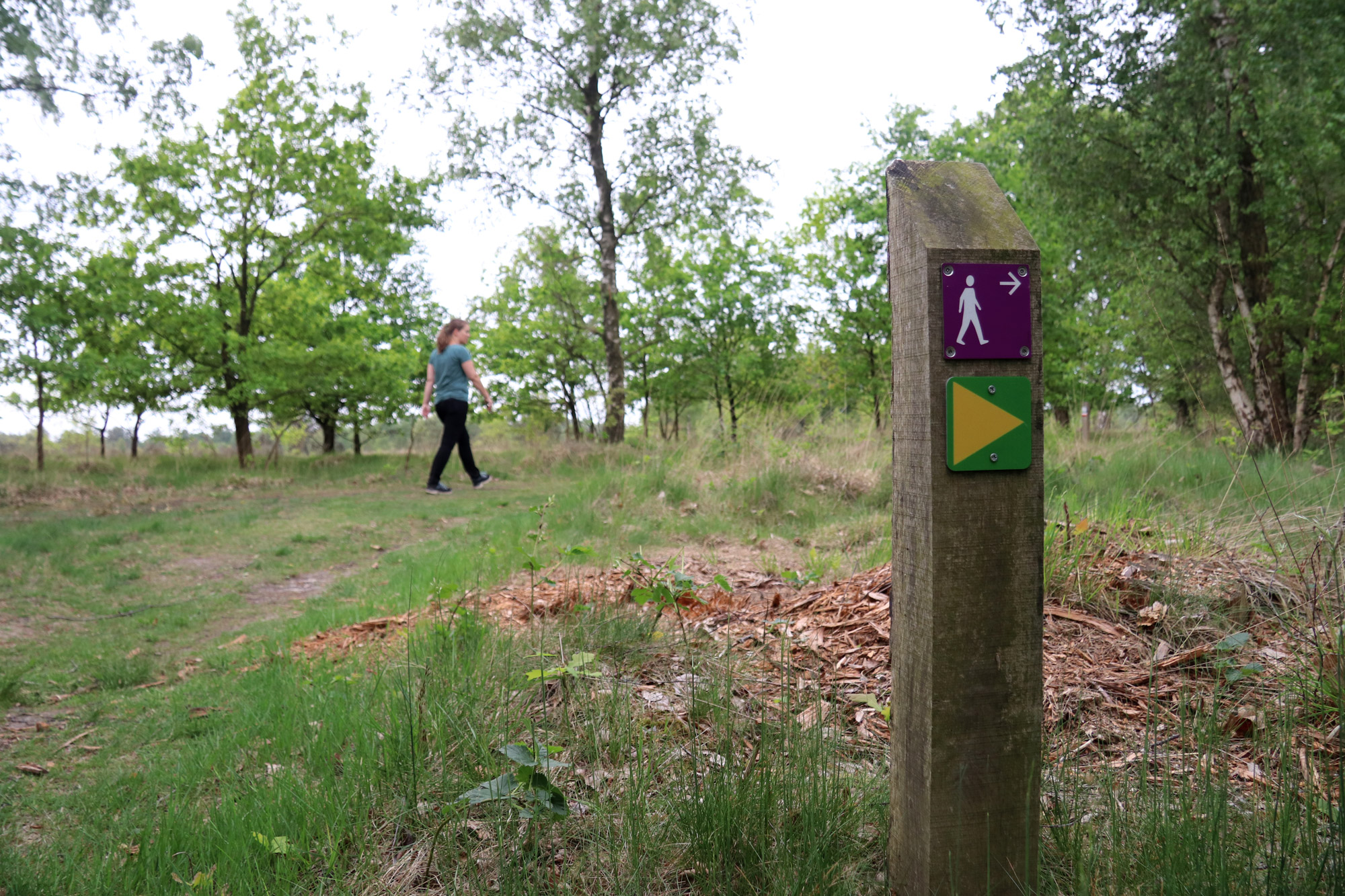 Wandeling: Klooster en heidewandeling bij de Achelse Kluis