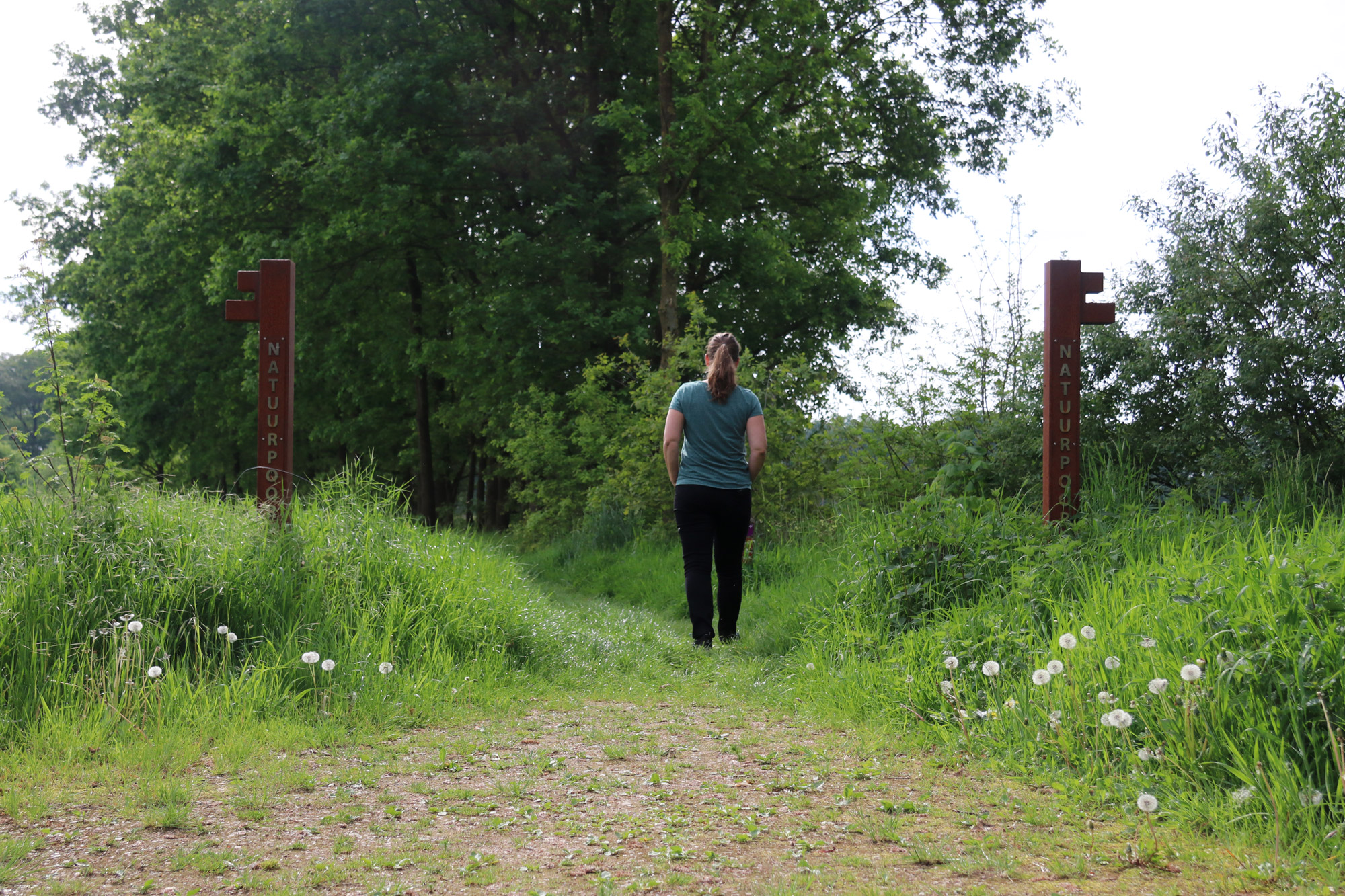 Wandeling: Klooster en heidewandeling bij de Achelse Kluis