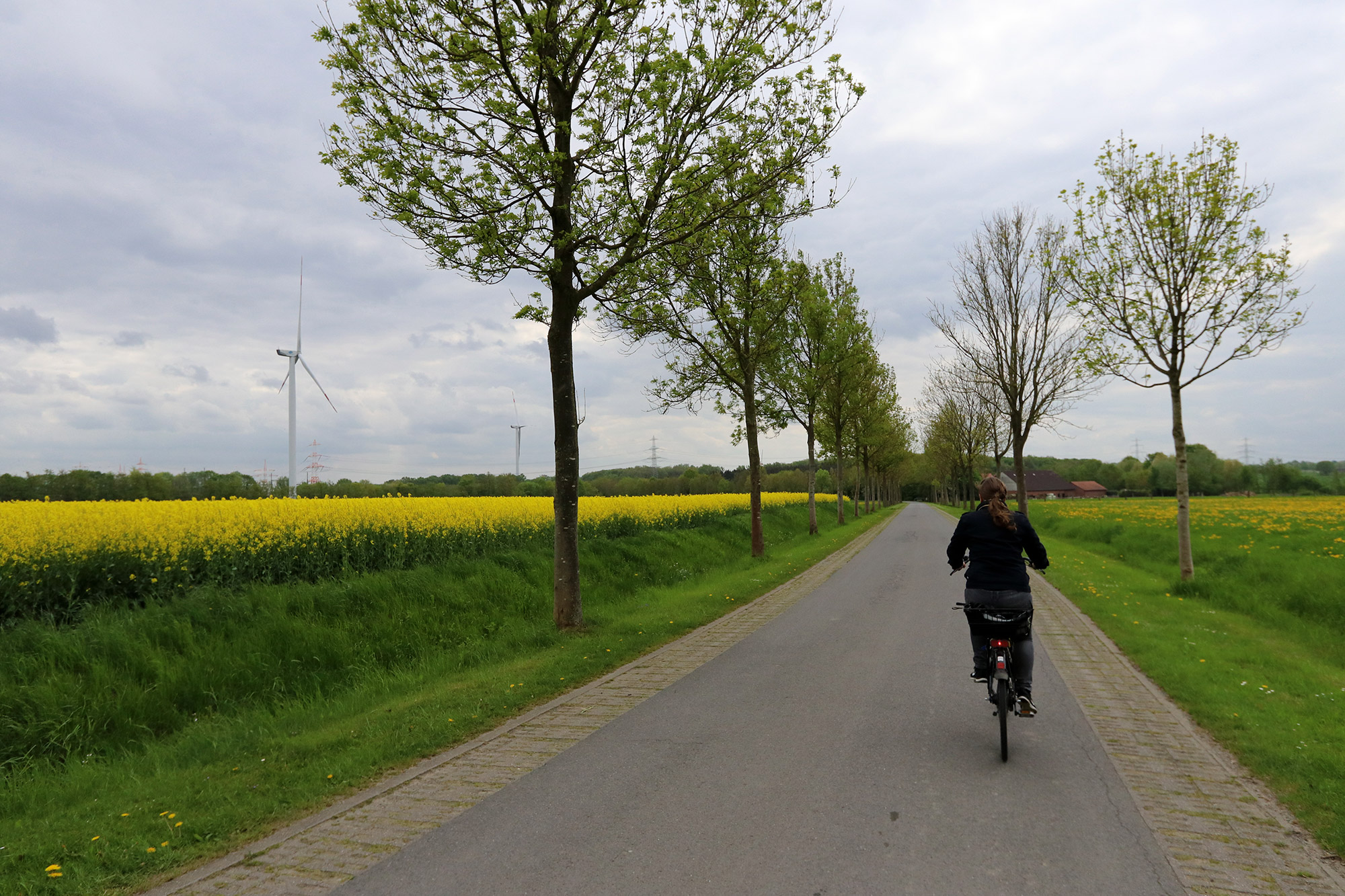 Weekendje weg Münster - Fietsen buiten het centrum van Münster