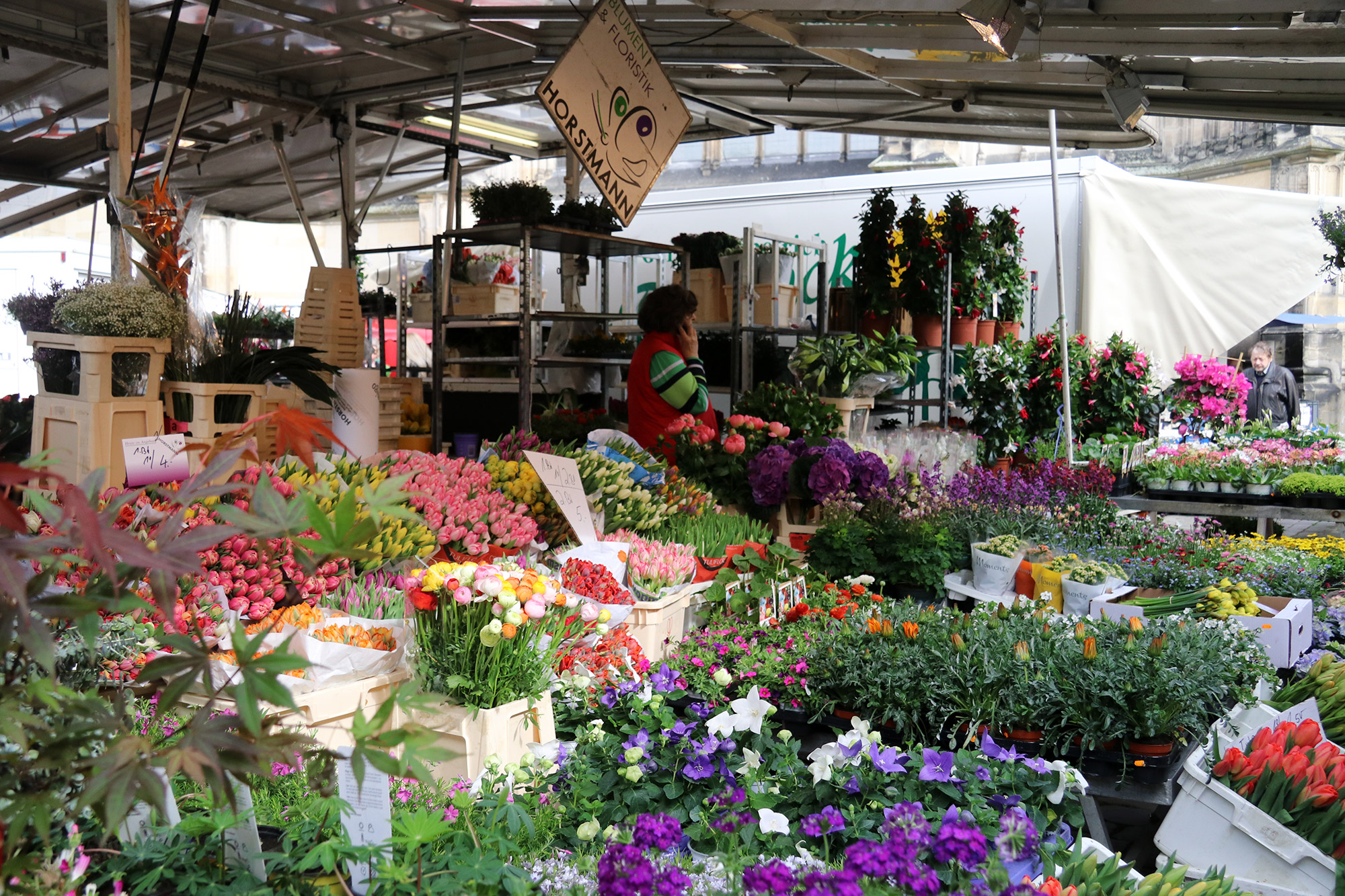 Weekendje weg Münster - Markt van Münster op zaterdag