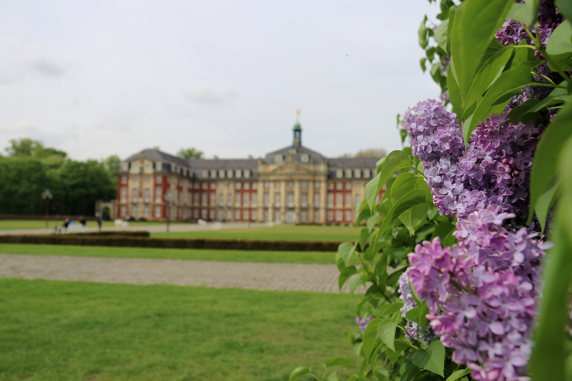 Weekendje weg Münster - Schloss Münster