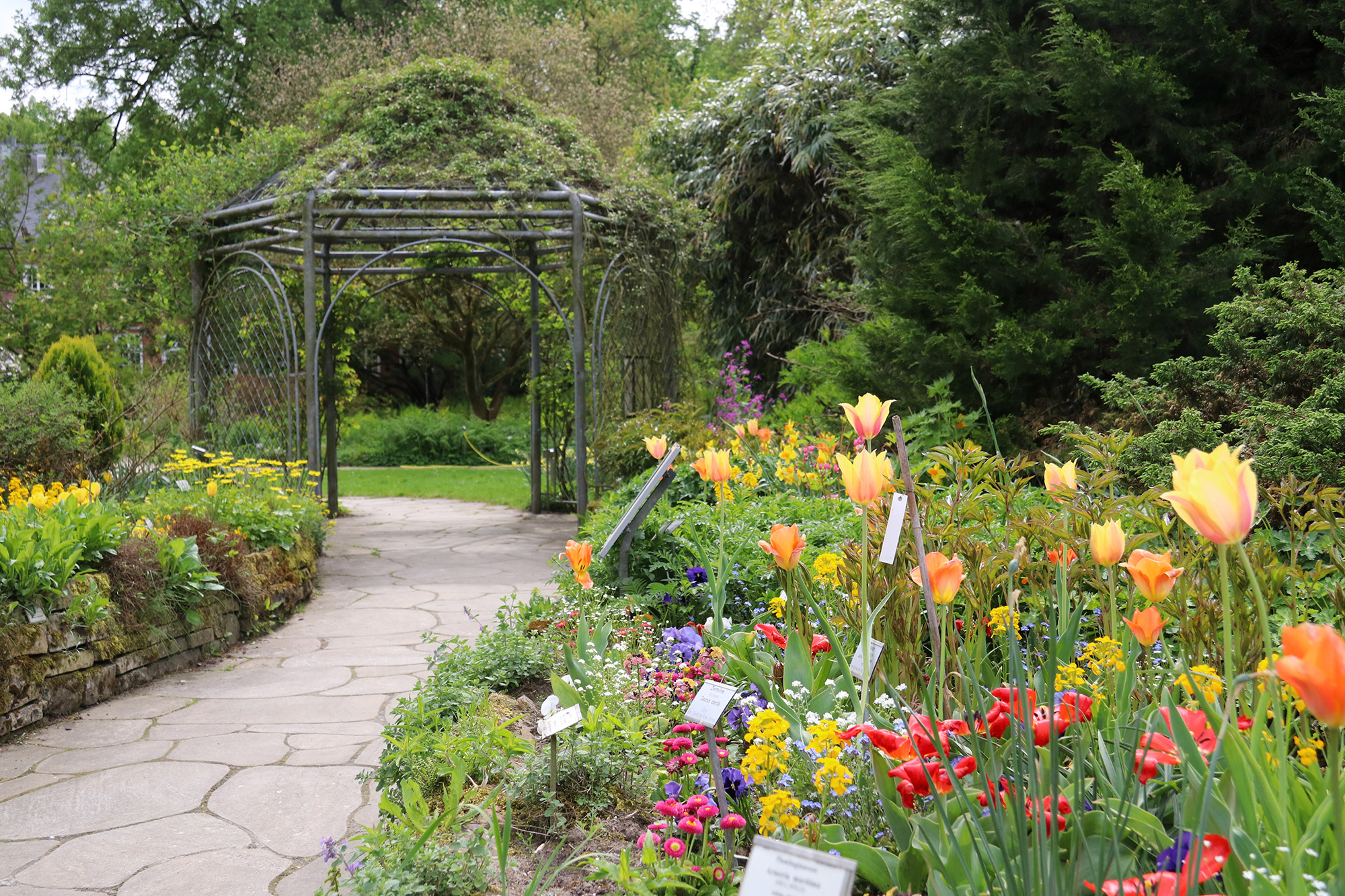 Weekendje weg Münster - Schlossgarten