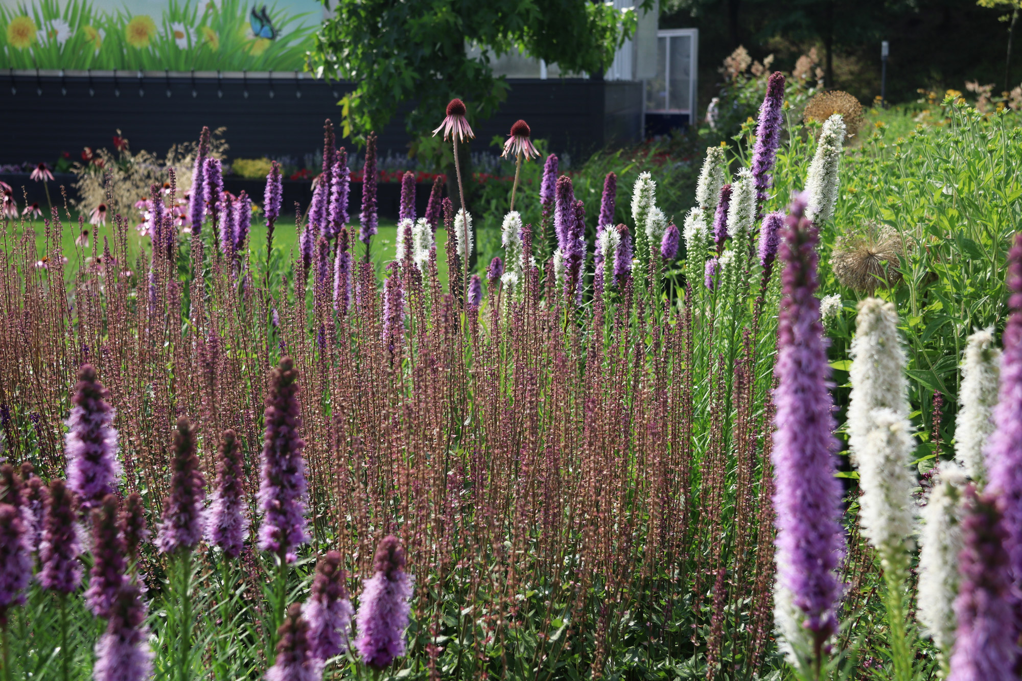 Landesgartenschau 2018 Bad Iburg