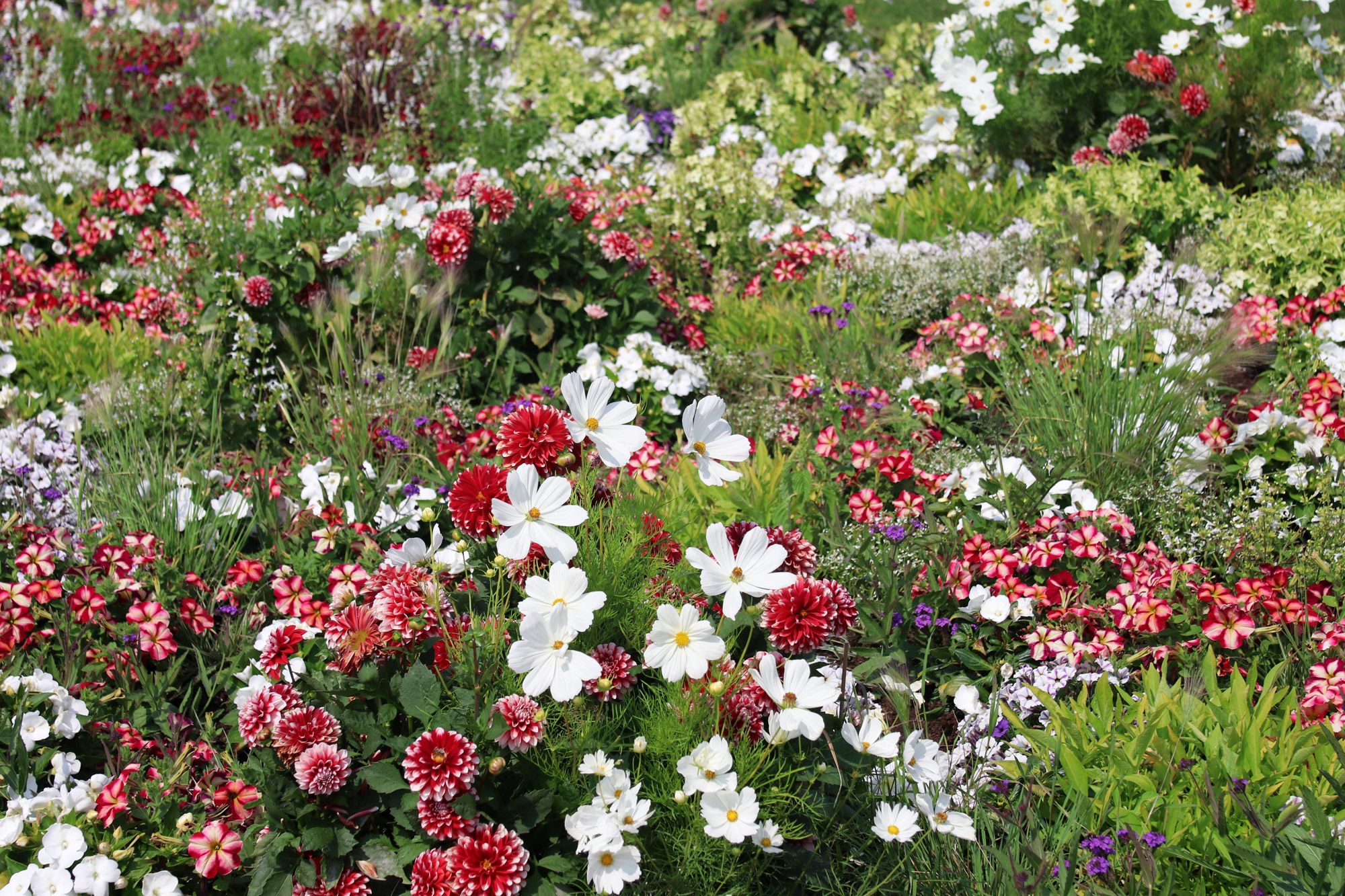 Landesgartenschau 2018 Bad Iburg