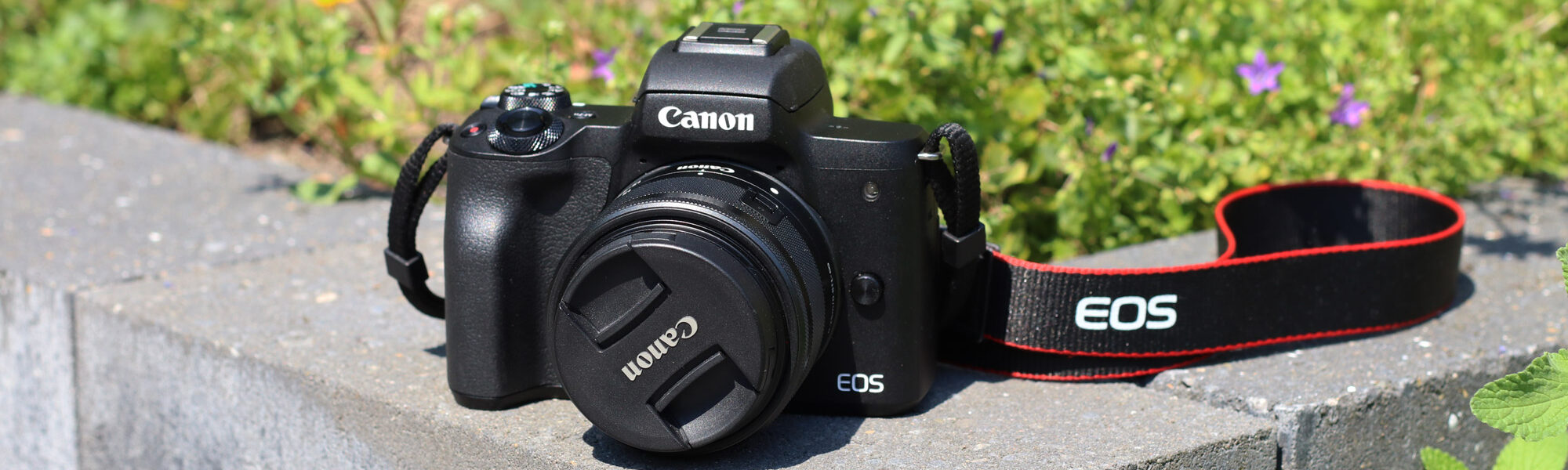 Review: Canon EOS M50